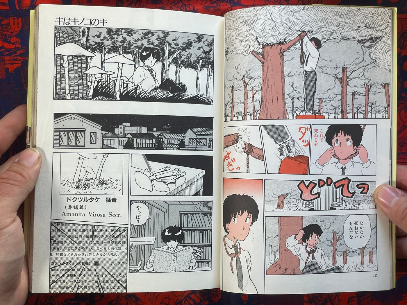 KIwaKINOKOnoKI by Moriyama Toh (1986)