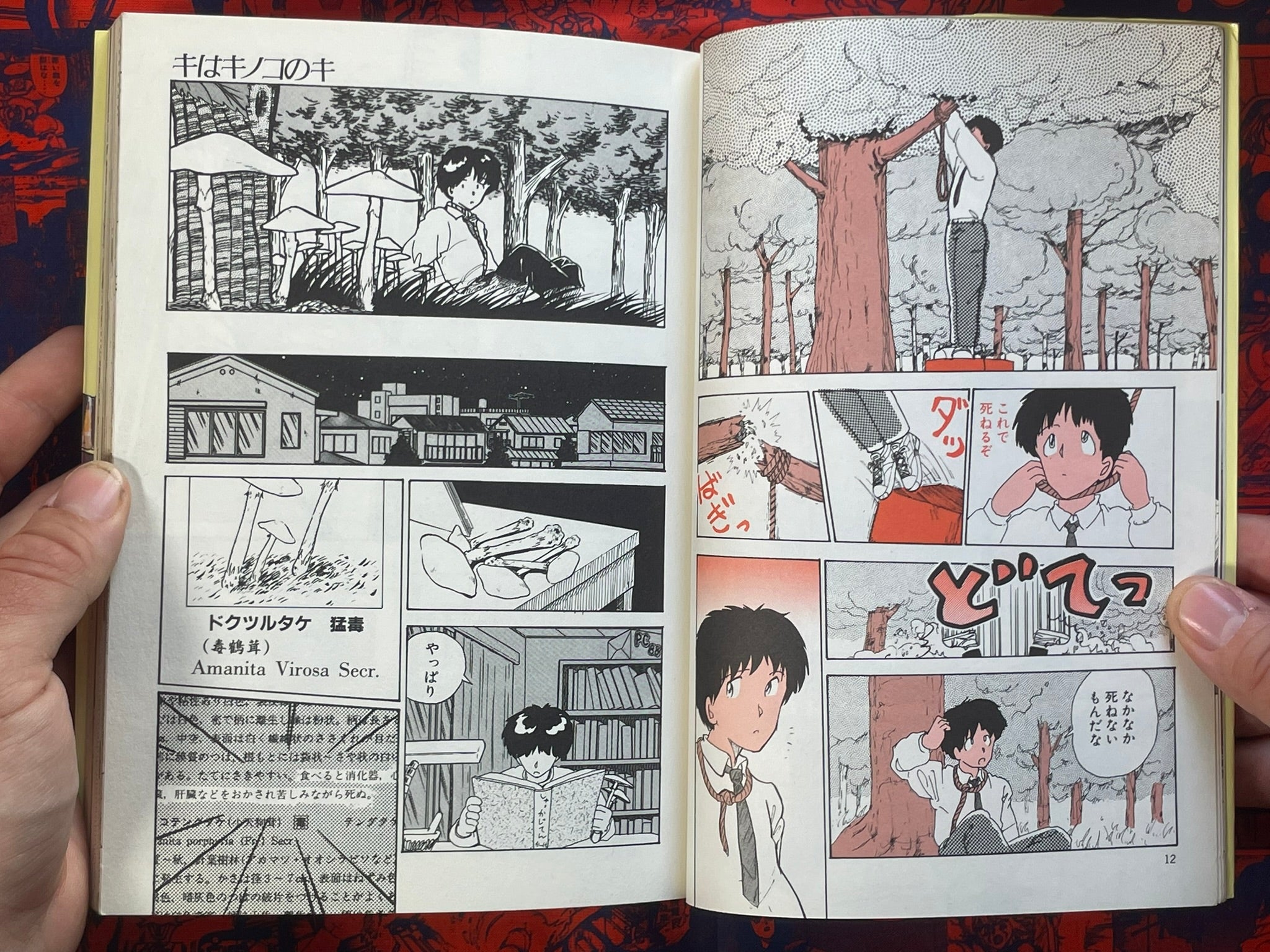 KIwaKINOKOnoKI by Moriyama Toh (1986)