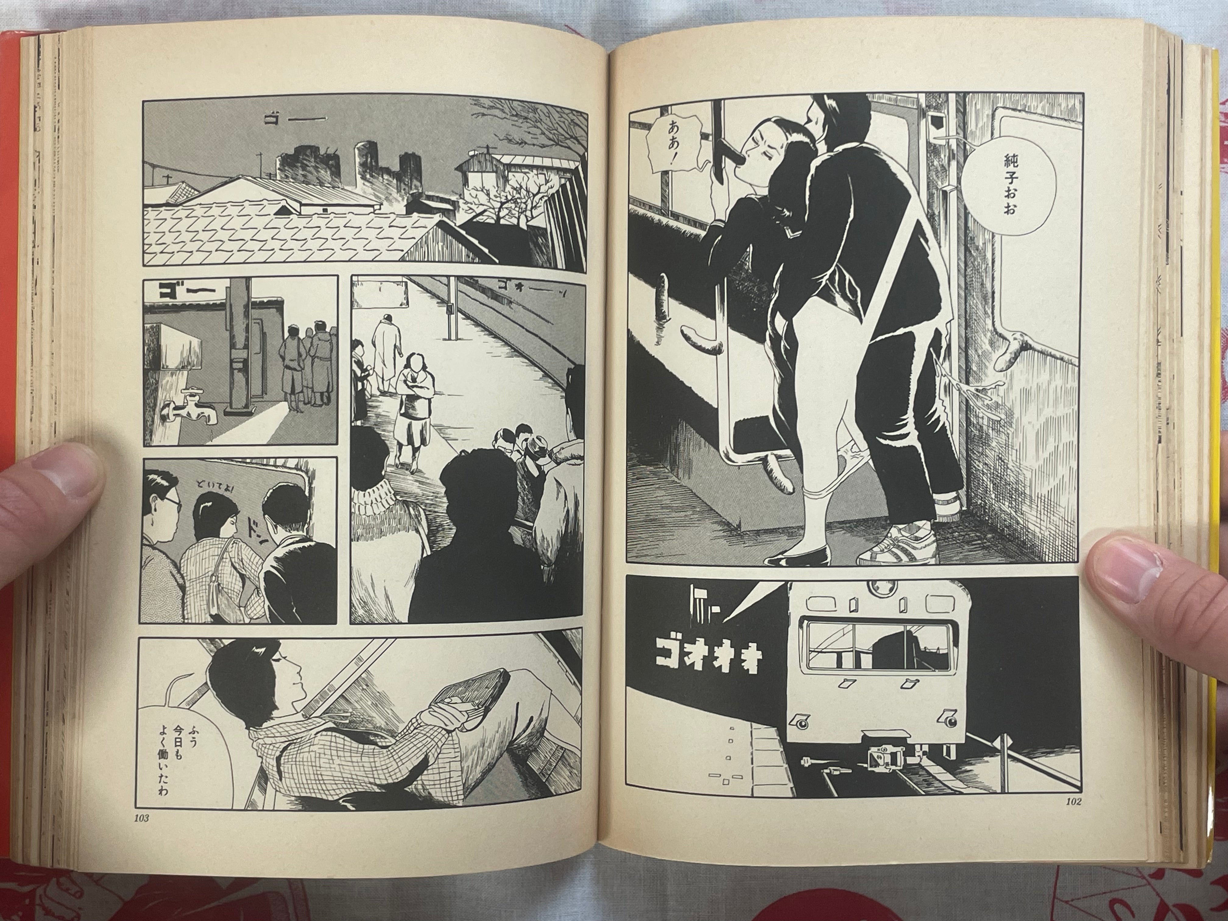 Cosmos Hill by Hiromi Hiraguchi (1978)