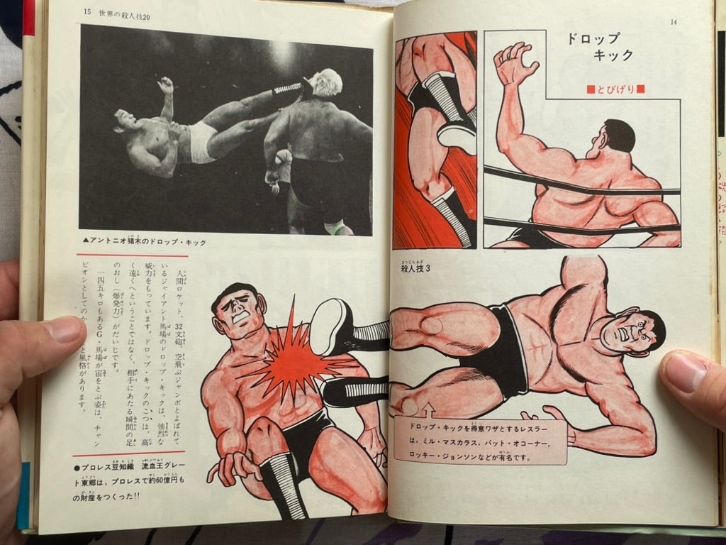 Pro Wrestling Encyclopedia - Hardcover by Antonio Inoki (1971)