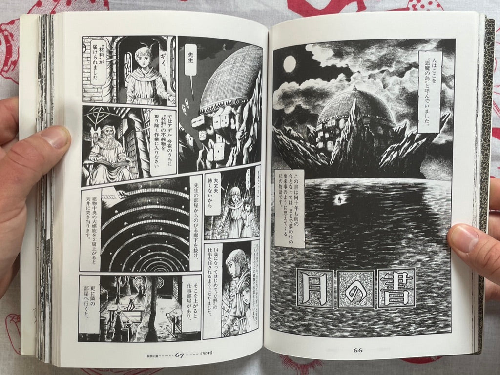 Garden by Usamaru Furuya (2000)