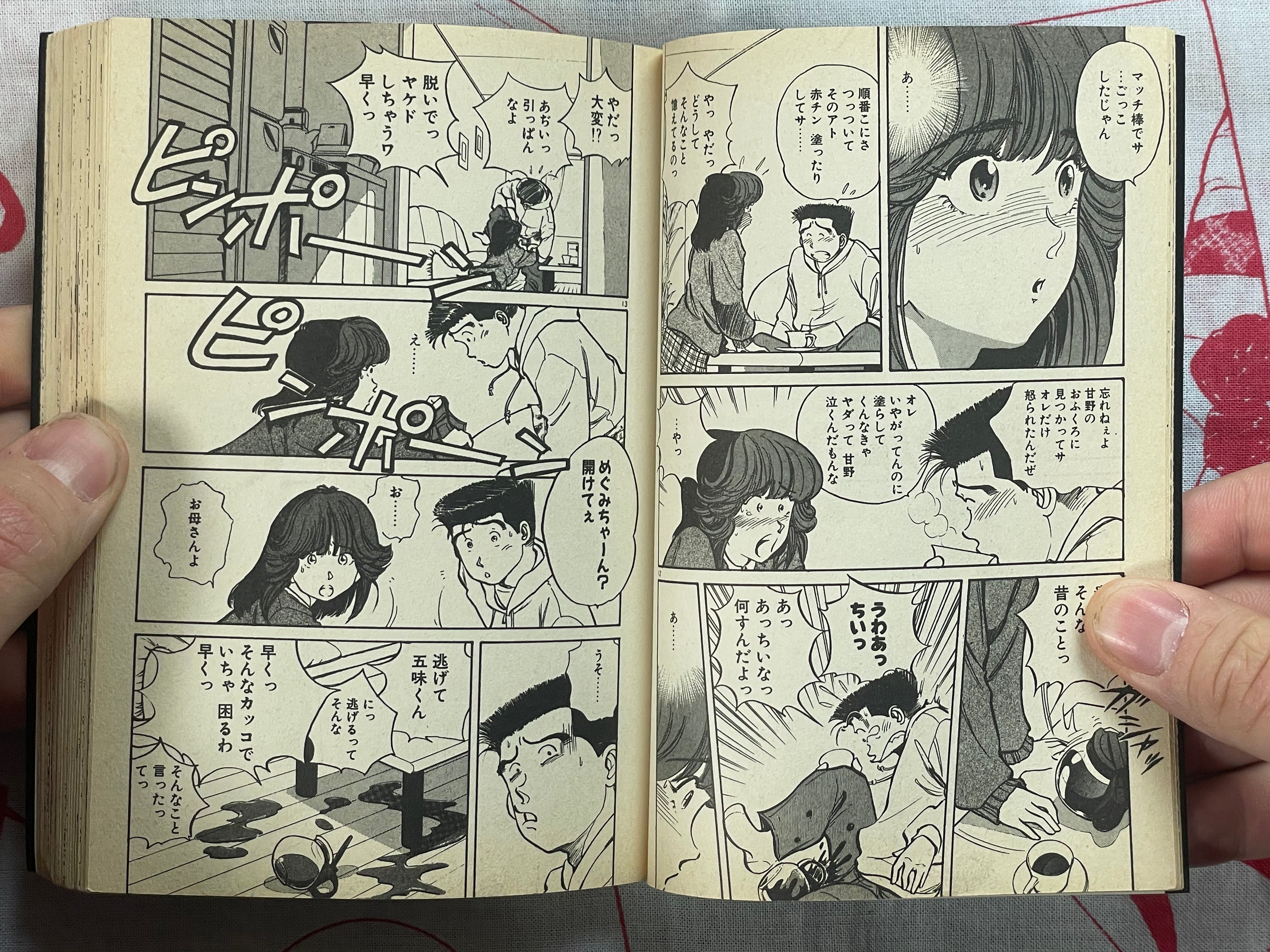 Heart Pounding Lesson - bunko size by Sakabe Noriko (1994)