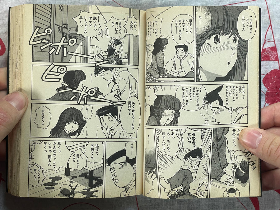 Heart Pounding Lesson - bunko size by Sakabe Noriko (1994)