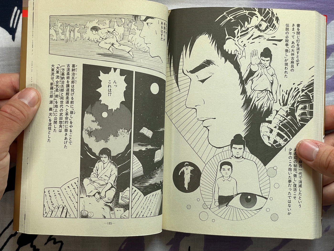 Killer Fist Technique for Koppou Marital Arts Illustrated by Kaze Shinobu (1988)