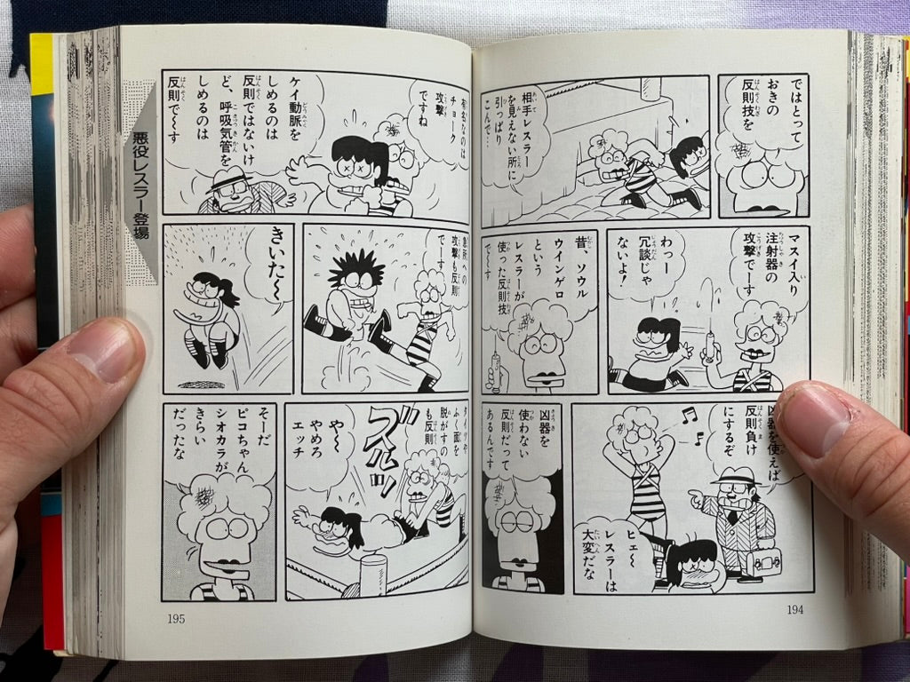 Pro Wrestling Everything All Together - Bunko Edition by Inoue Yoshihiro (1984)