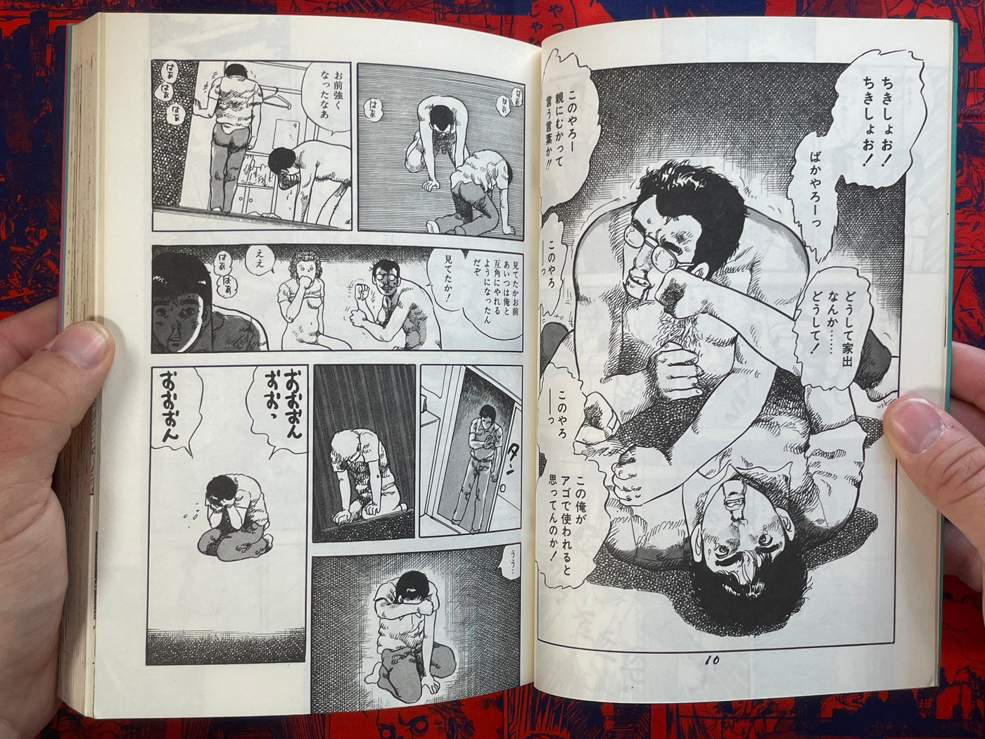 Metamorphosis BY Kosuzu Hiromi (1983)