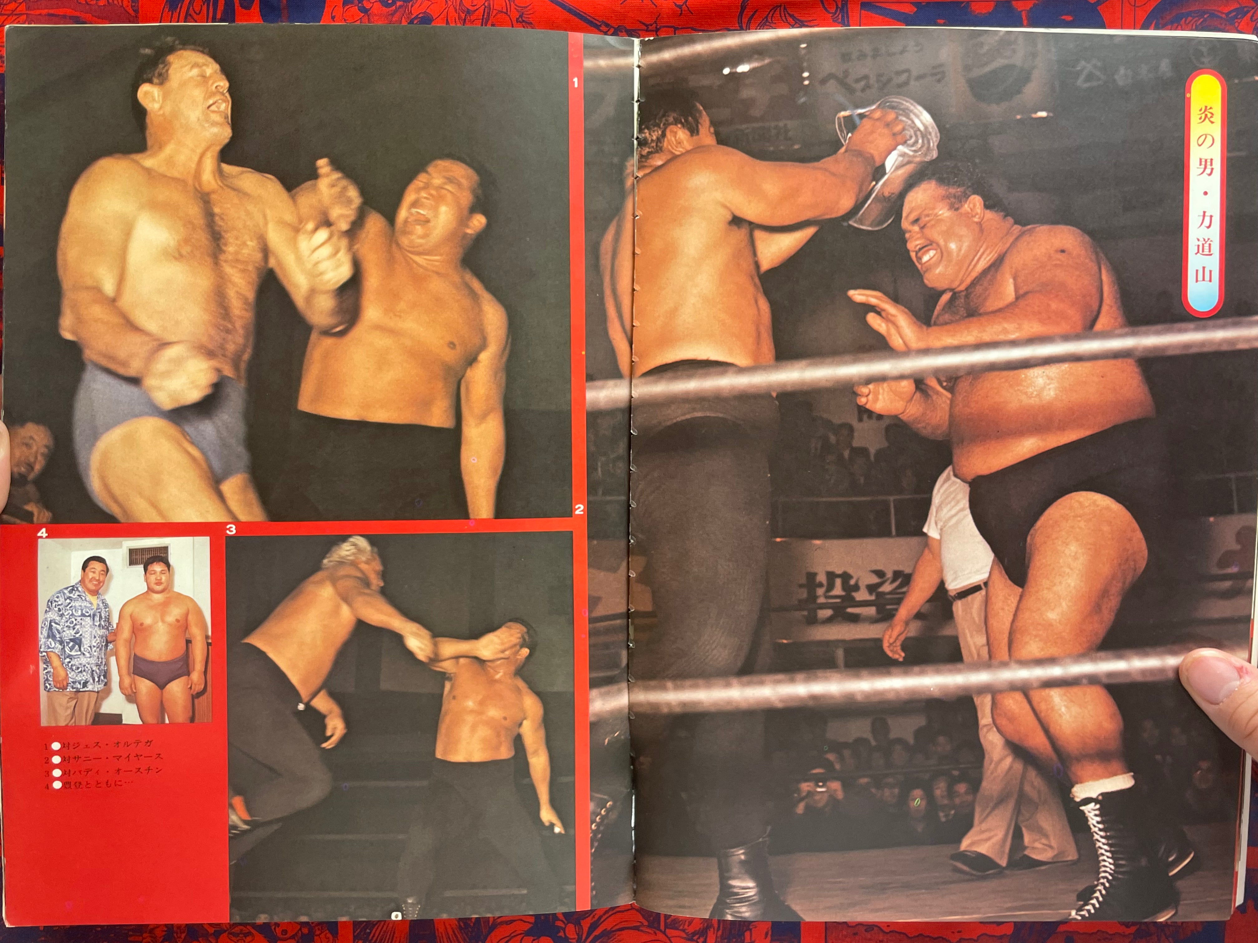 Pictorial History of Pro-Wrestling in Japan (1975)