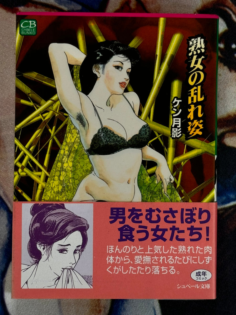 Mature Womens Disheveled Appearance (Bunko Edition) by Ken Tsukikage (1997)