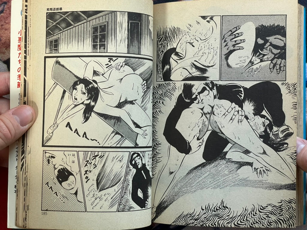 Beautiful Girl Playground by Dirty Matsumoto (1982)