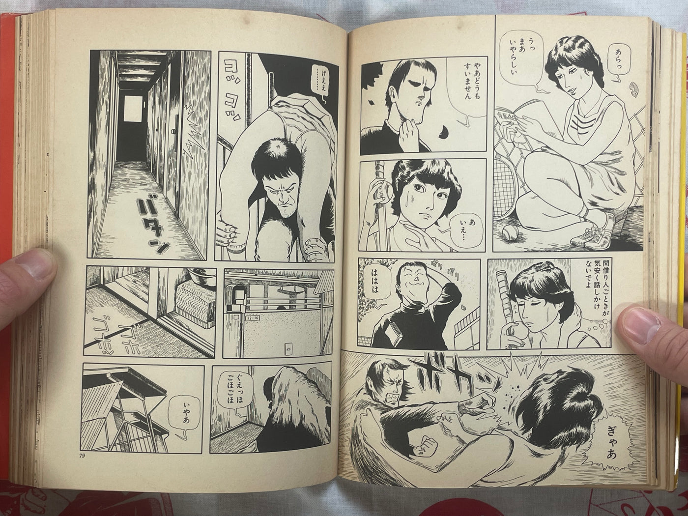 Cosmos Hill by Hiromi Hiraguchi (1978)