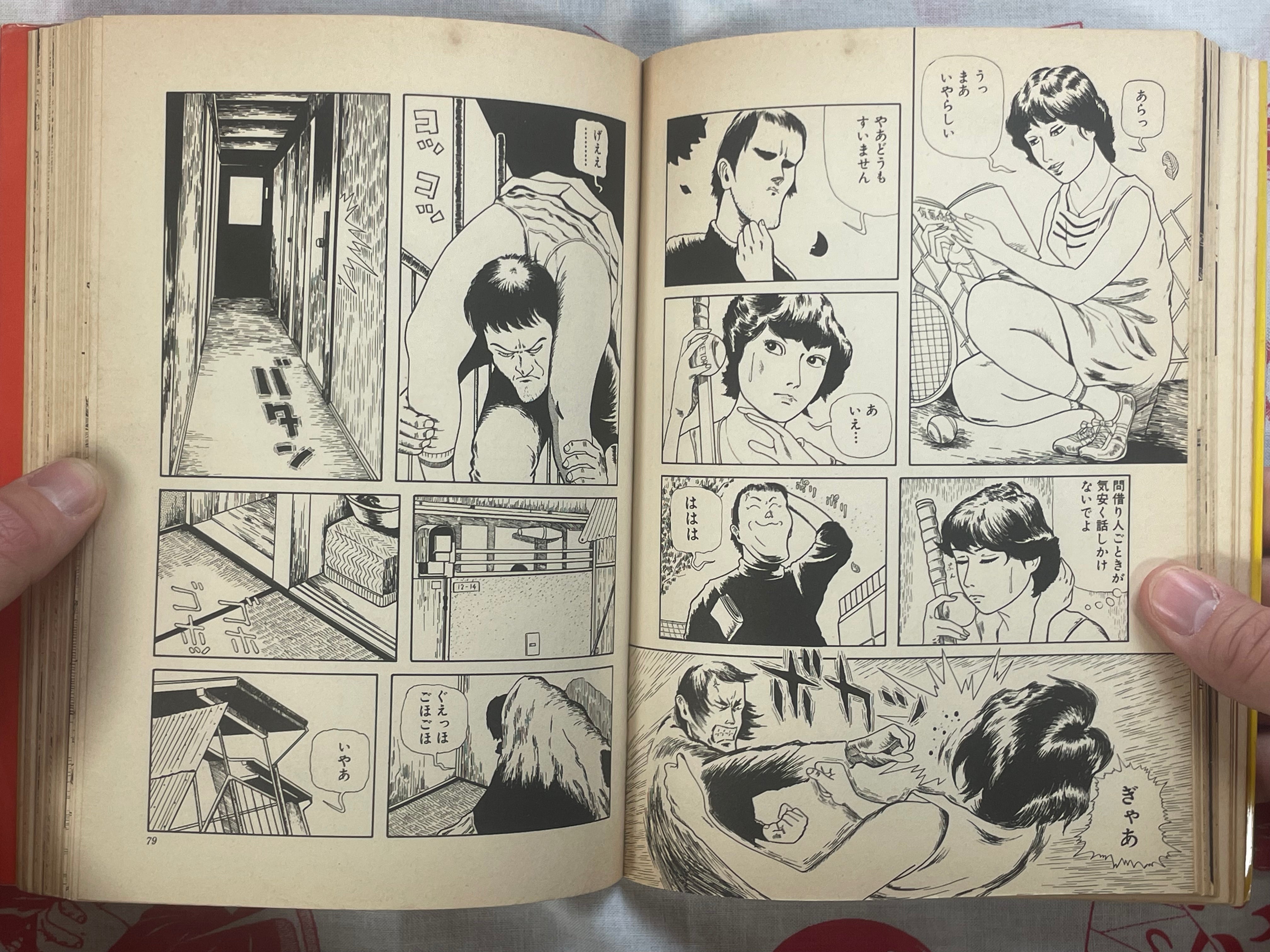 Cosmos Hill by Hiromi Hiraguchi (1978)