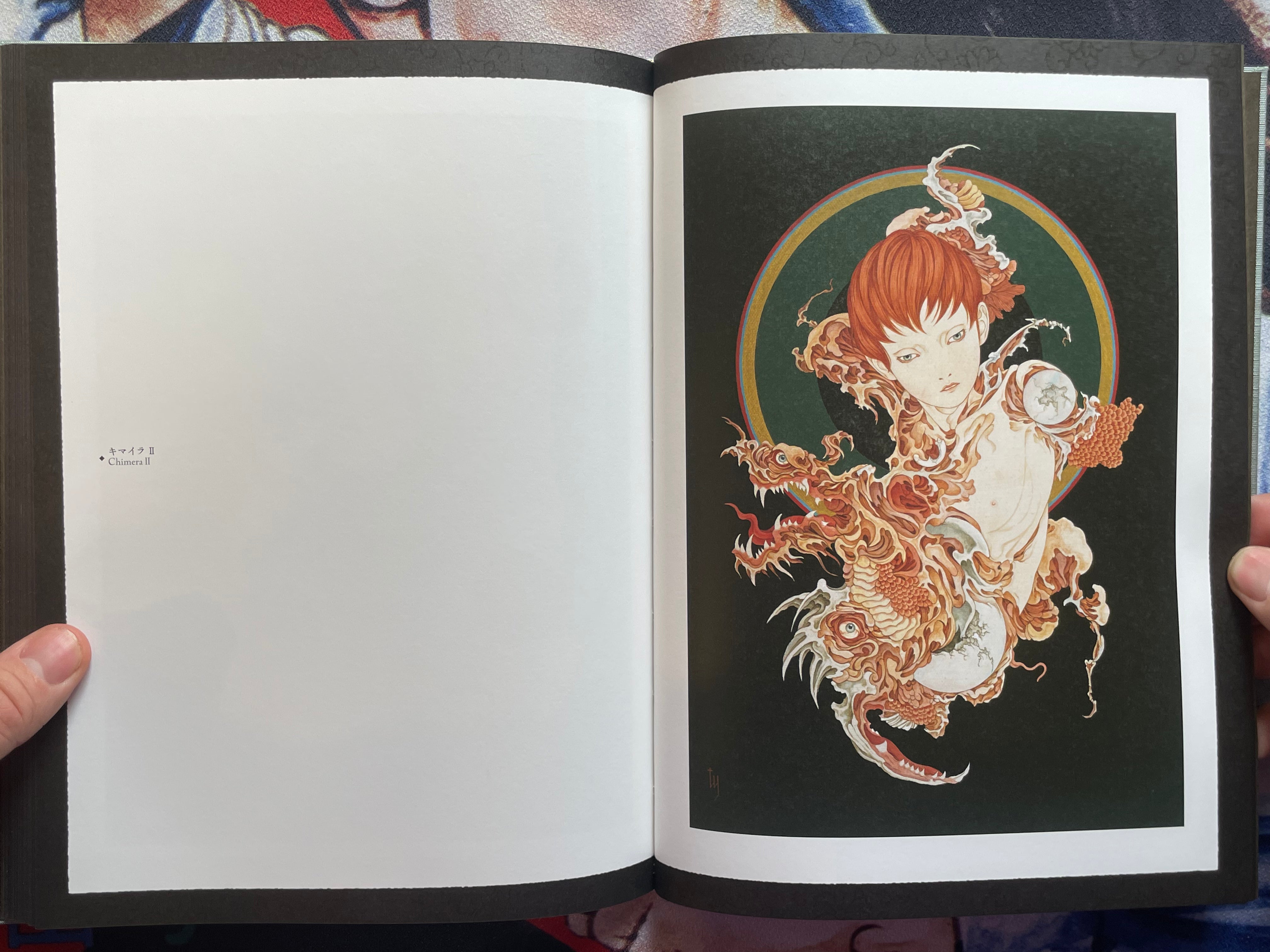 SIGNED Coffin of a Chimera by Yamamoto Takato - Hardcover + Slipcover (2024)