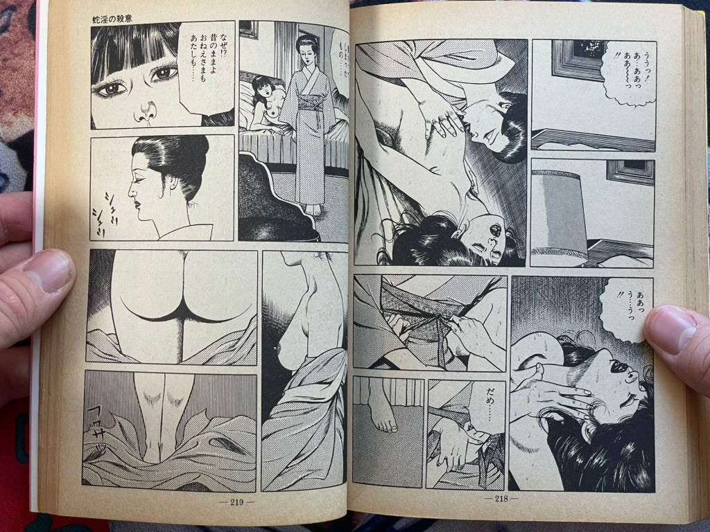 Moan at the Whip by Sugawara Takuya (1981)