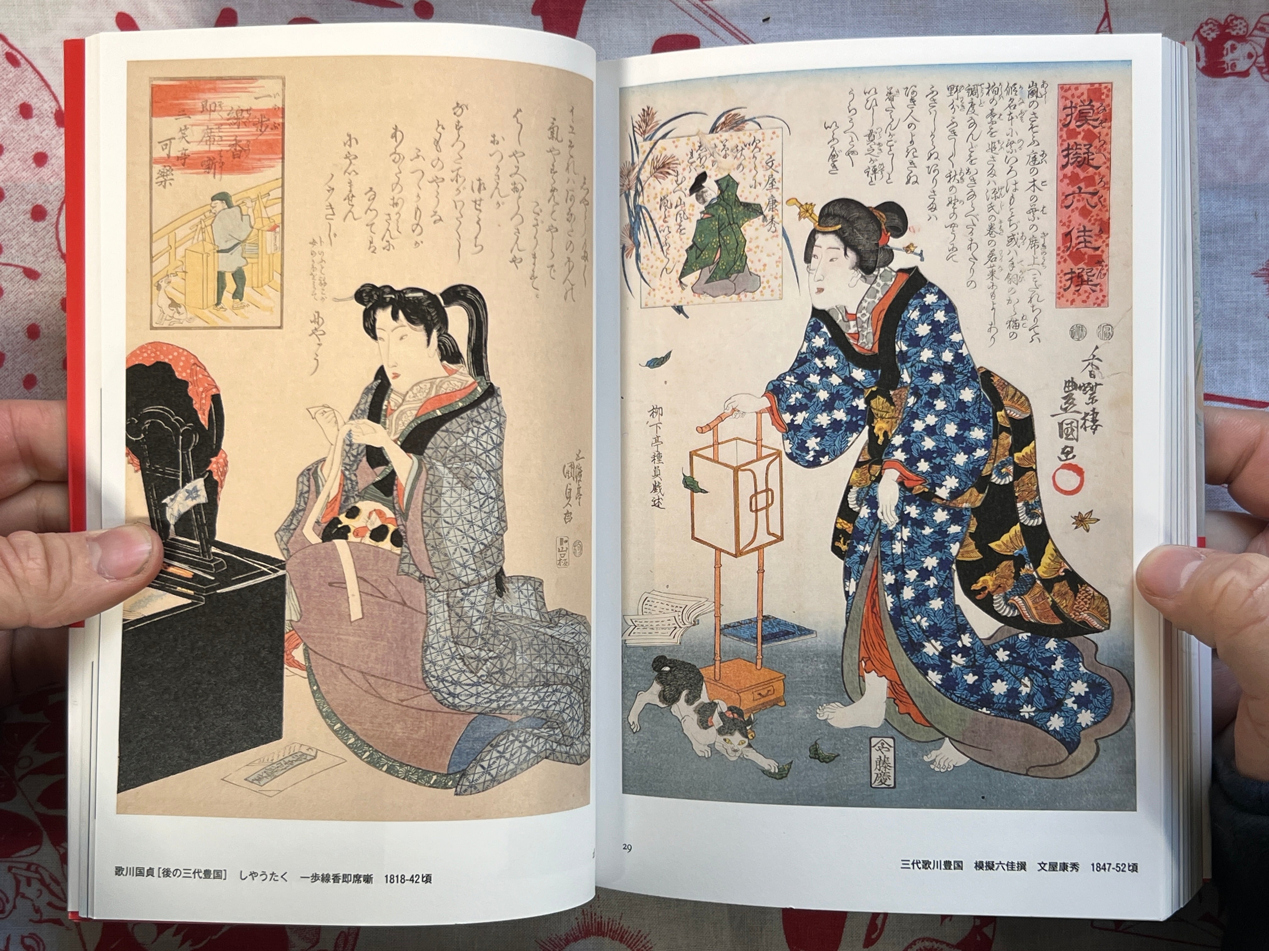 Cats Everywhere by Kyuryudo Publishing (2011)
