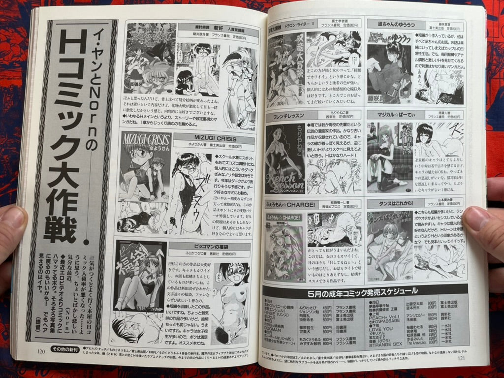Monthly PC Angel (6/1996)