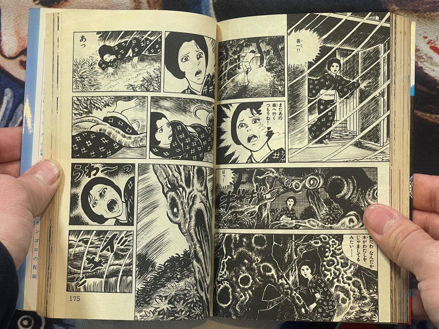 YouChuu / Mansect by Shinichi Koga (1981)