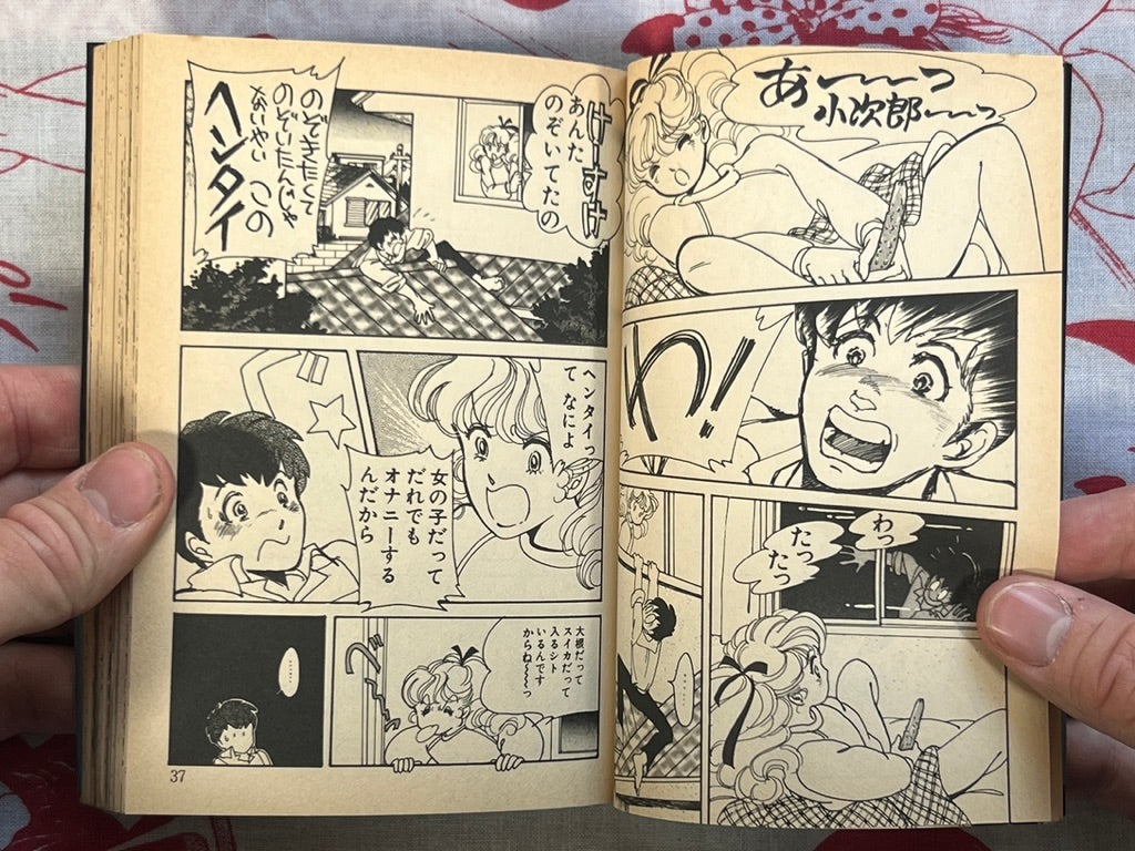 Not There Yet! - bunko size by Nakata Aki (1988)