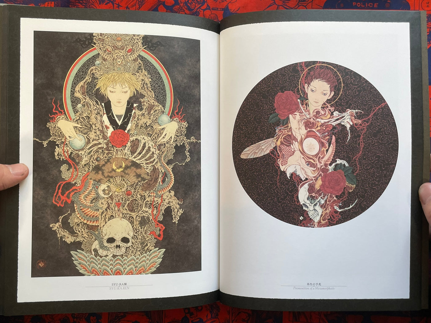 SIGNED Rib of a Hermaphrodite by Yamamoto Takato - Hardcover + Slipcover (2023)