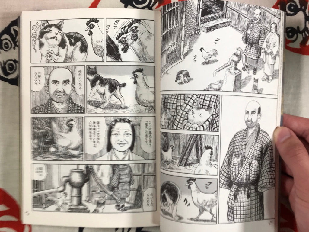 Feng Shui Pet by Kazuichi Hanawa - 2 volume set