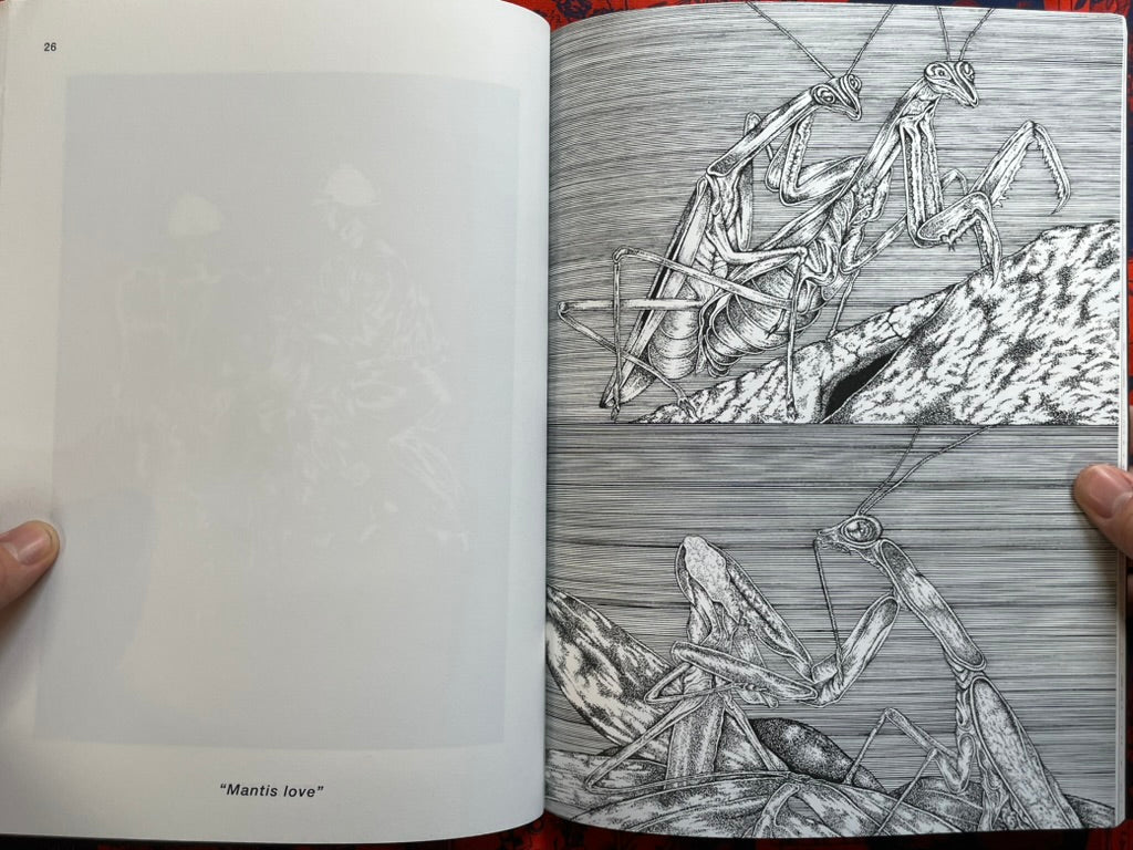 SIGNED 36/105 Escapism by Ryusei Maeda (2022)