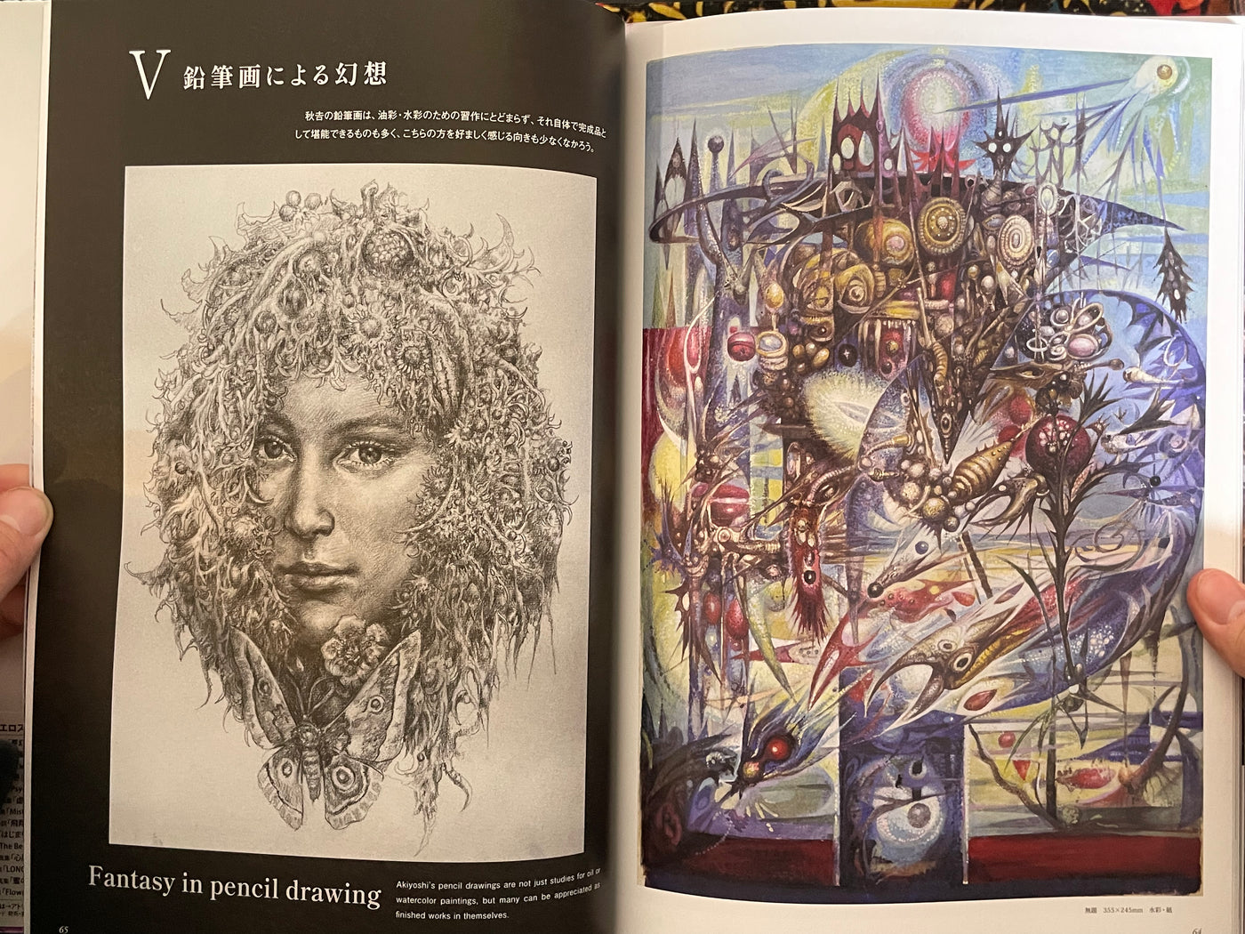 Ran Akiyoshi Illusory Works: Faraway Primordial Illusions - Hardcover (2025)