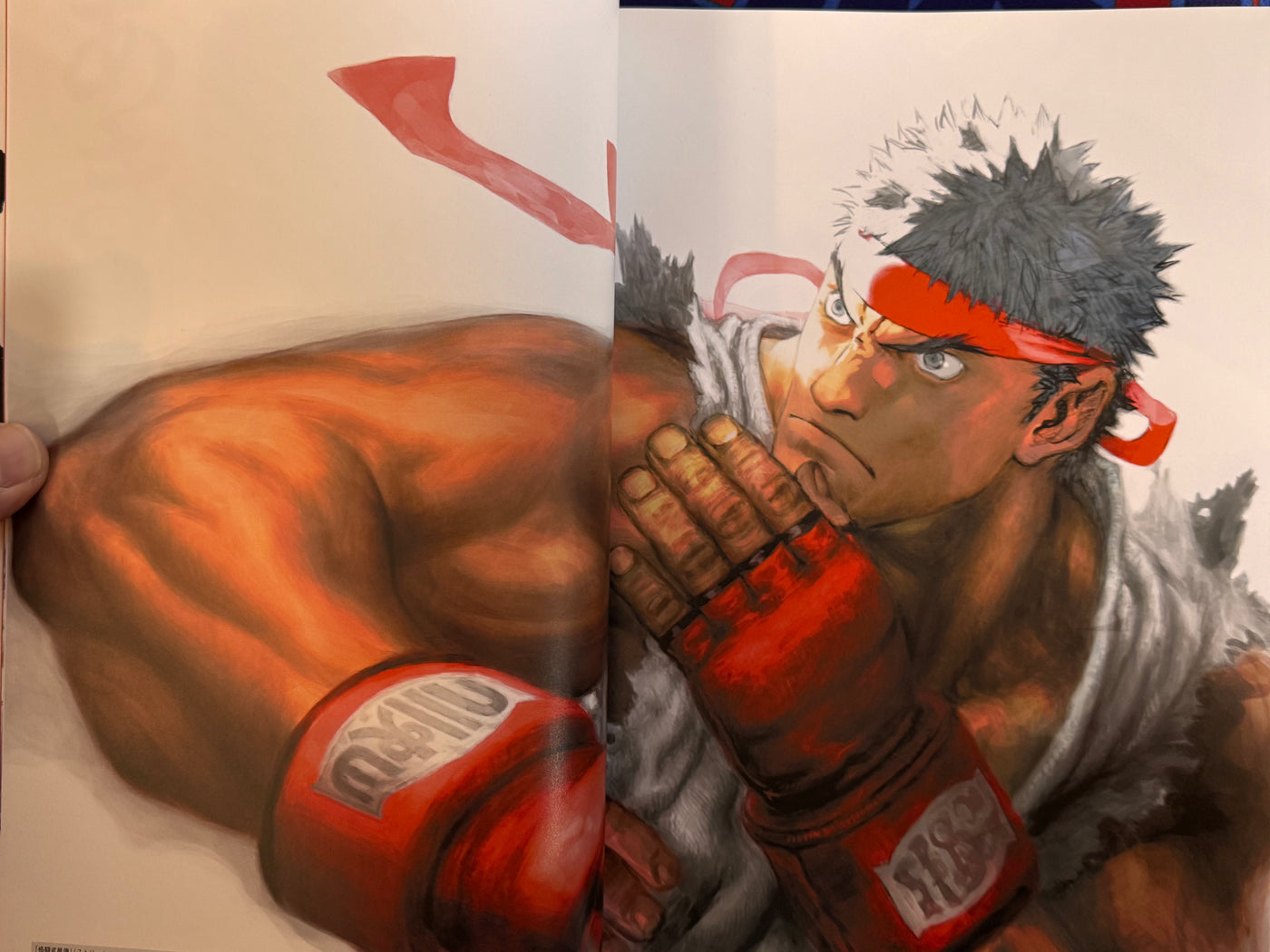 CAPCOM Street Fighters Art Works Supremacy (2009)