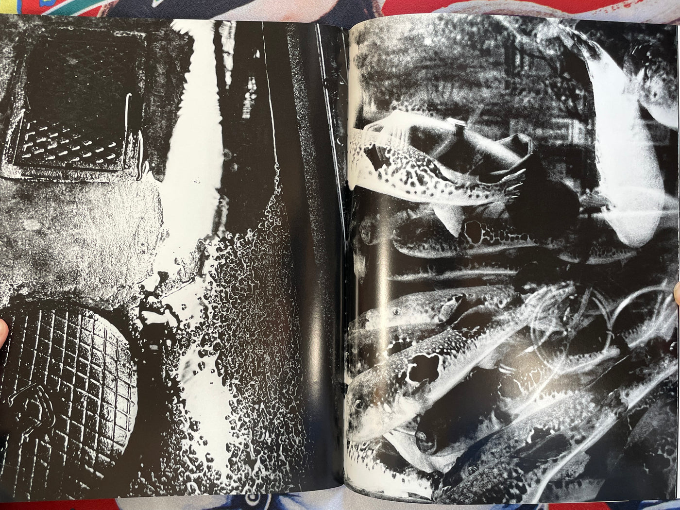 SIGNED Record No.6 (1st Edition) by Daido Moriyama (2006)