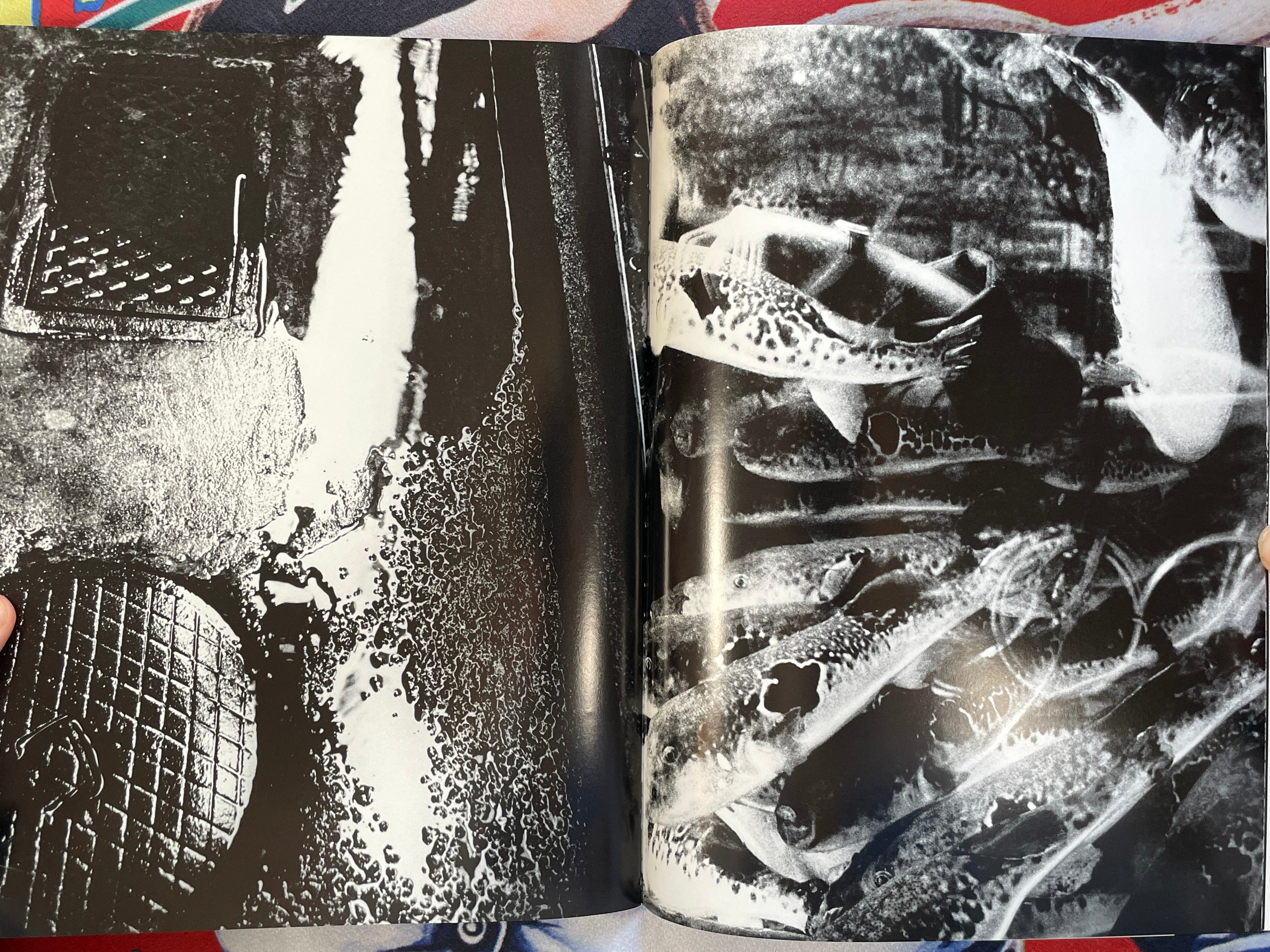 SIGNED Record No.6 (1st Edition) by Daido Moriyama (2006)