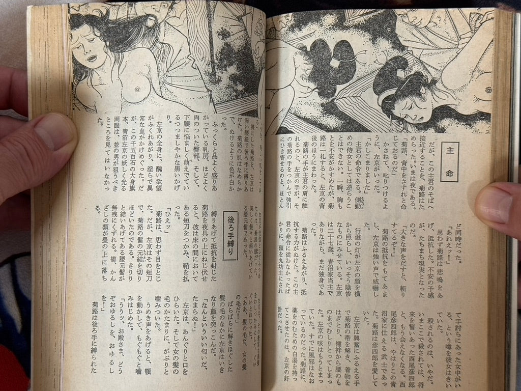 SM Fan Magazine (12/1972)