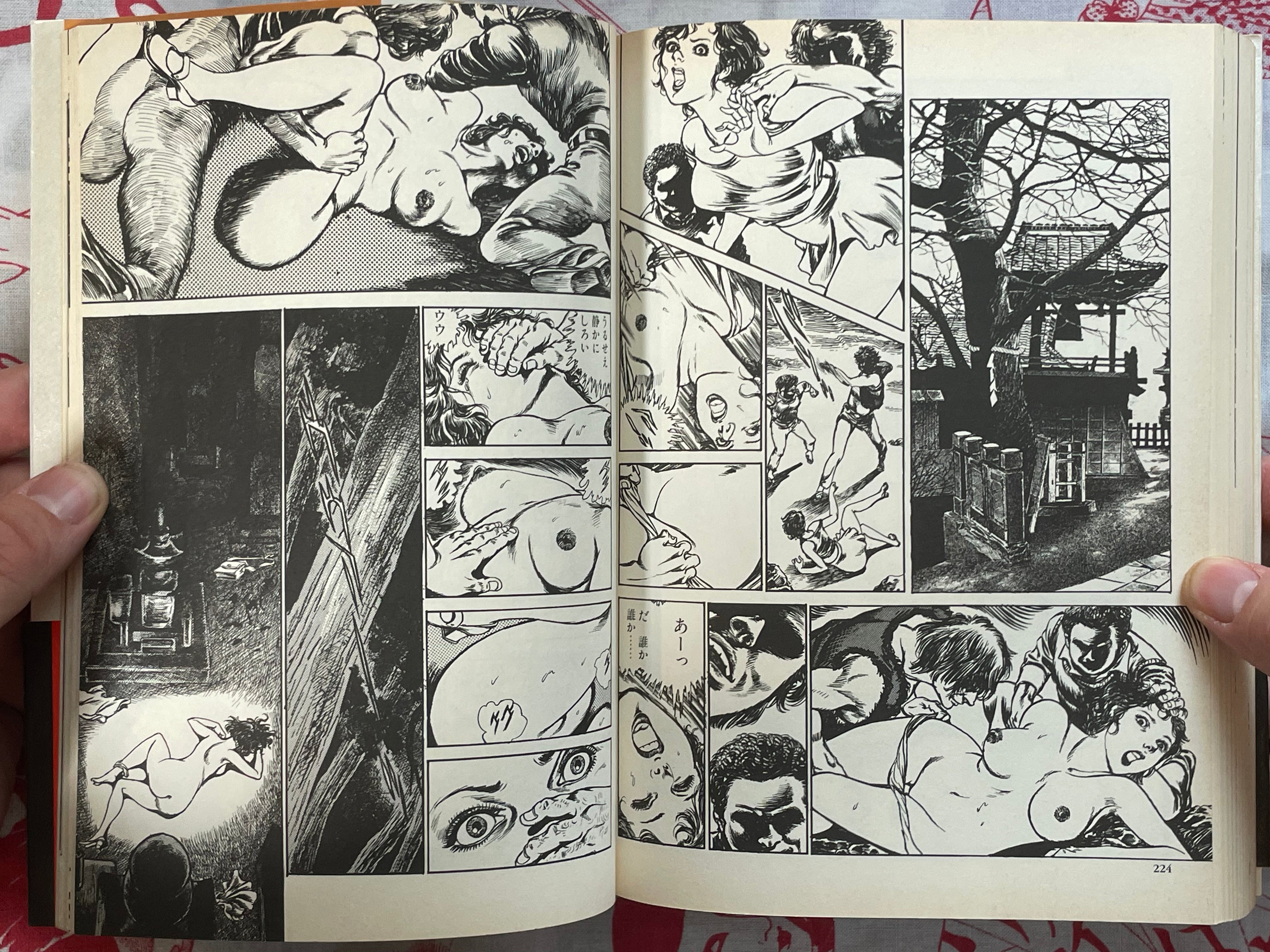 Shukujyo no Inmu 淑女の淫夢 by Masaru Sakaki (1999)