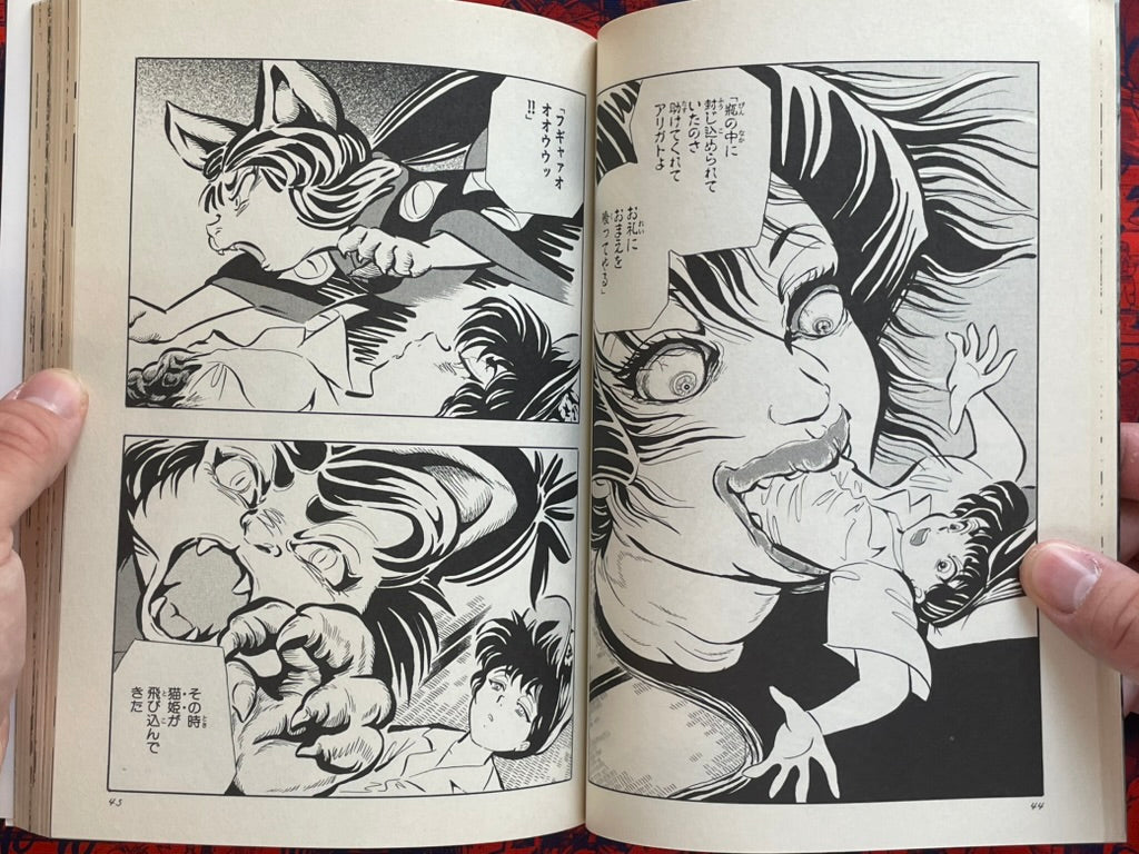 Night Princess by Takahashi Yousuke (2007)