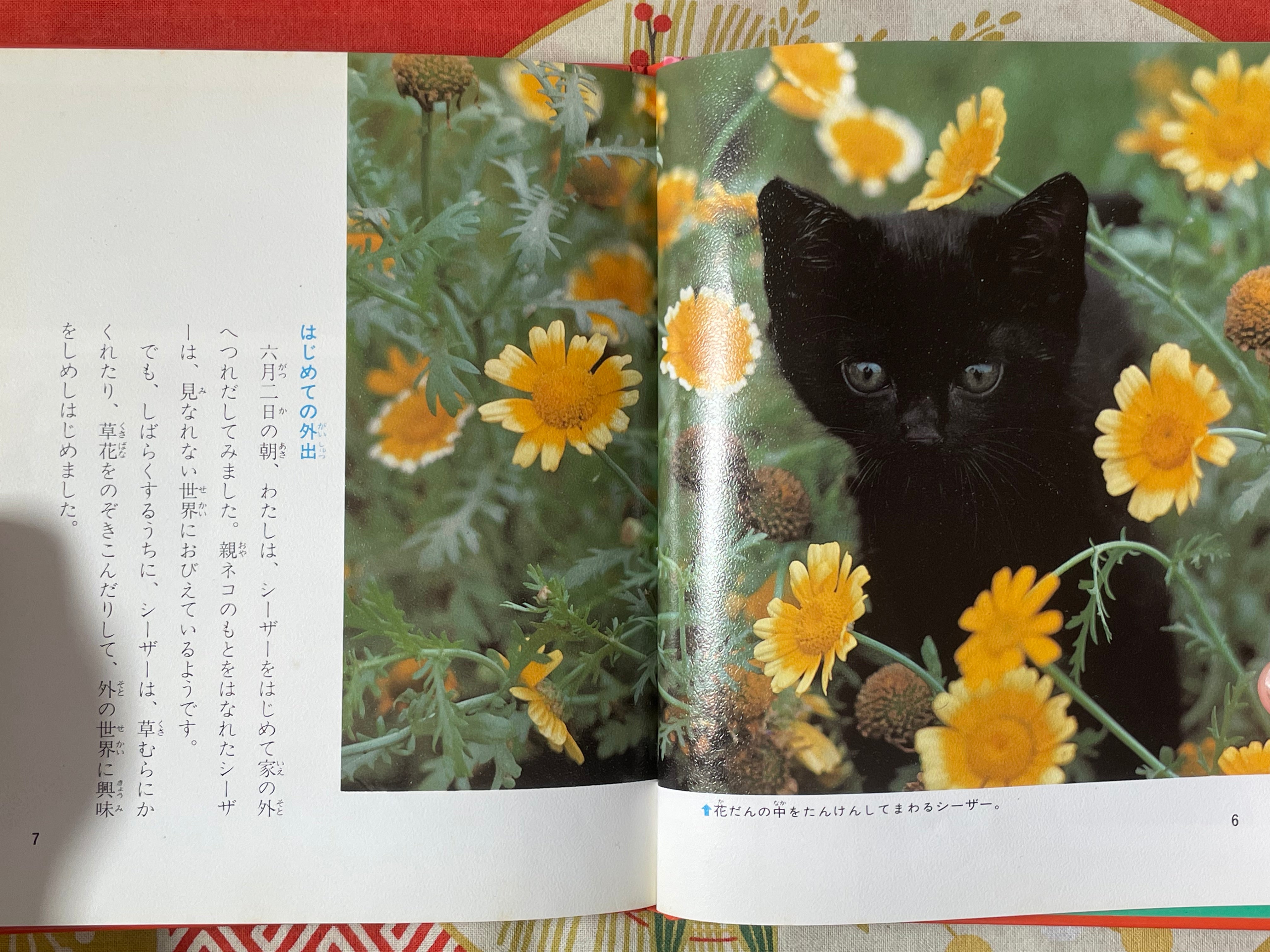 Cat's Life - Hardcover by Yoshino Shin (1980)