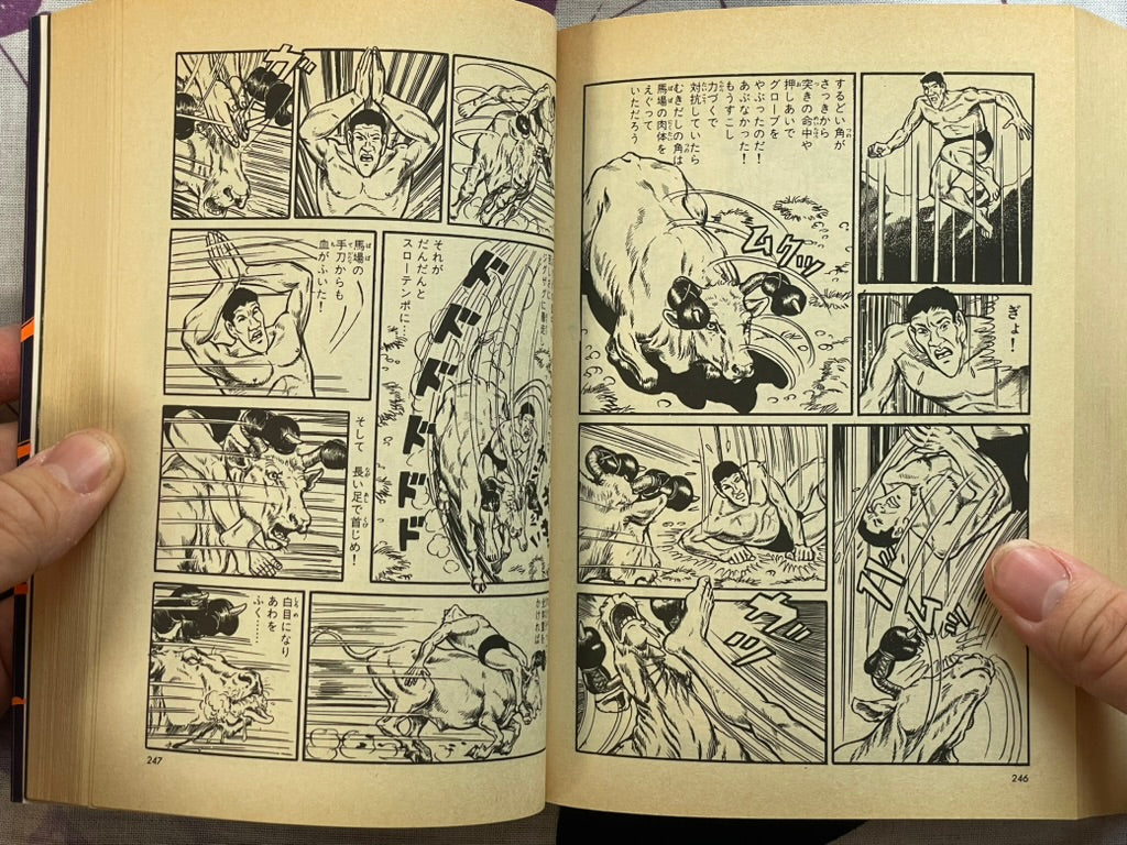 Giant Typhoon Vol. 1-4 by Tsuji Naoki (1990)