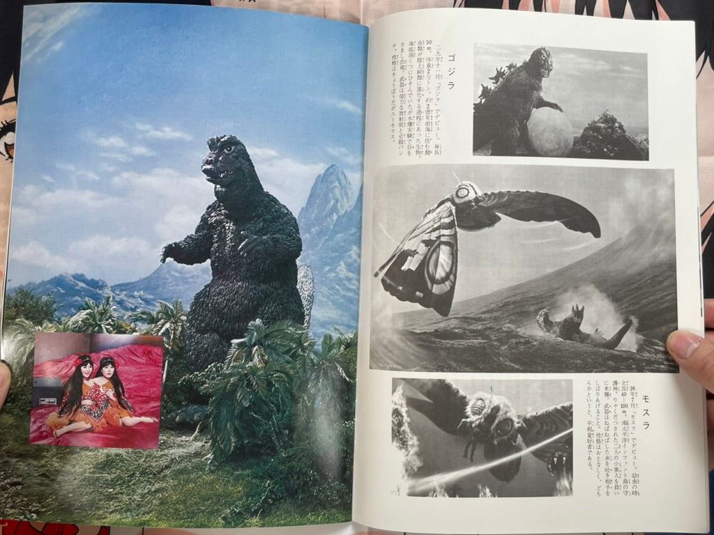 Toho Champion Festival Movie Promo Set: Mothra vs. Godzilla-thumbmail-4