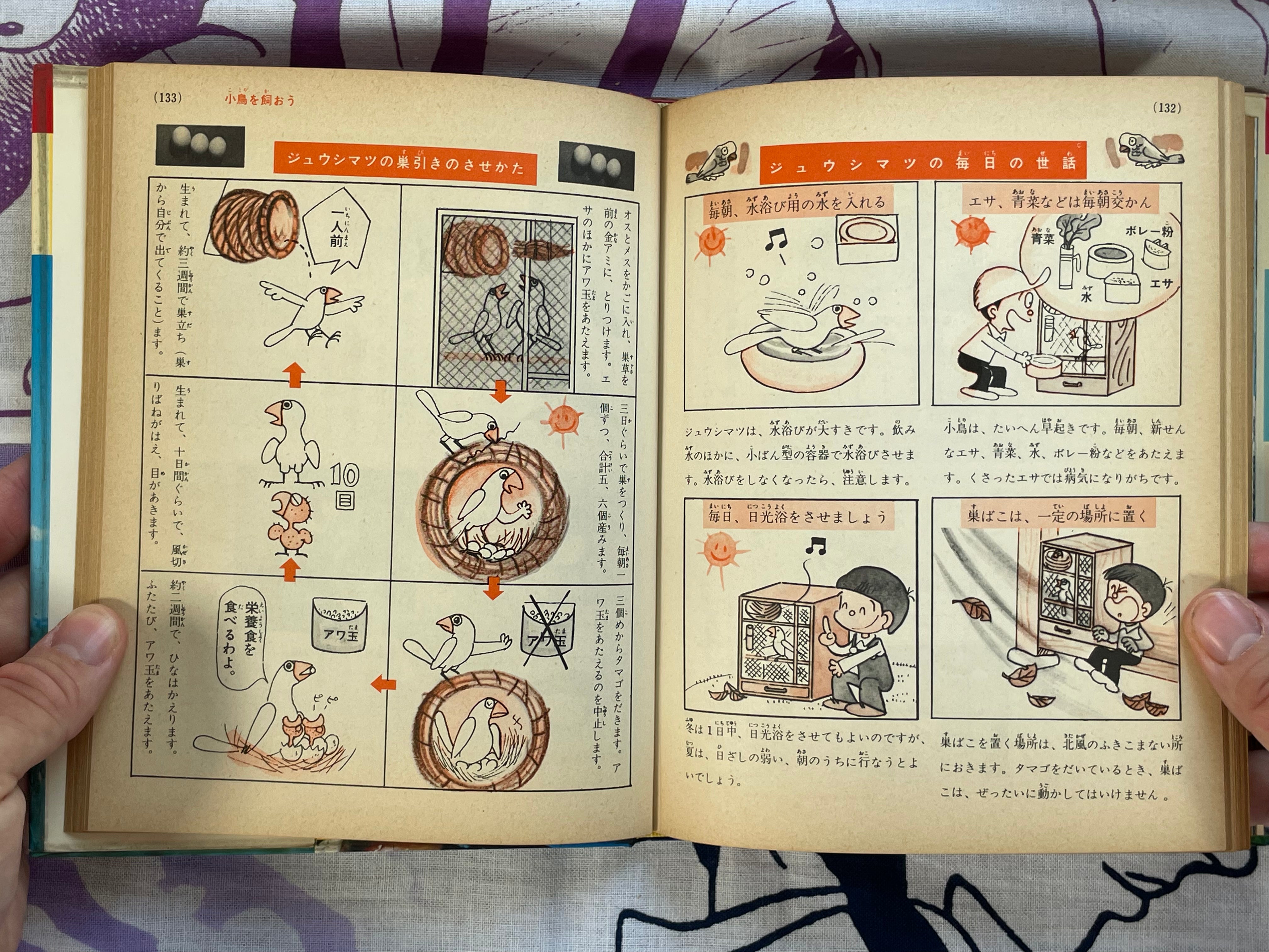 How to Own Pets #4 by Shogakukan (1979)