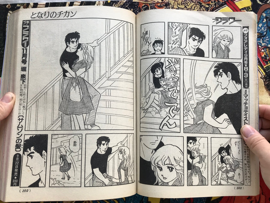 Petit Flower Magazine 9 (1982)