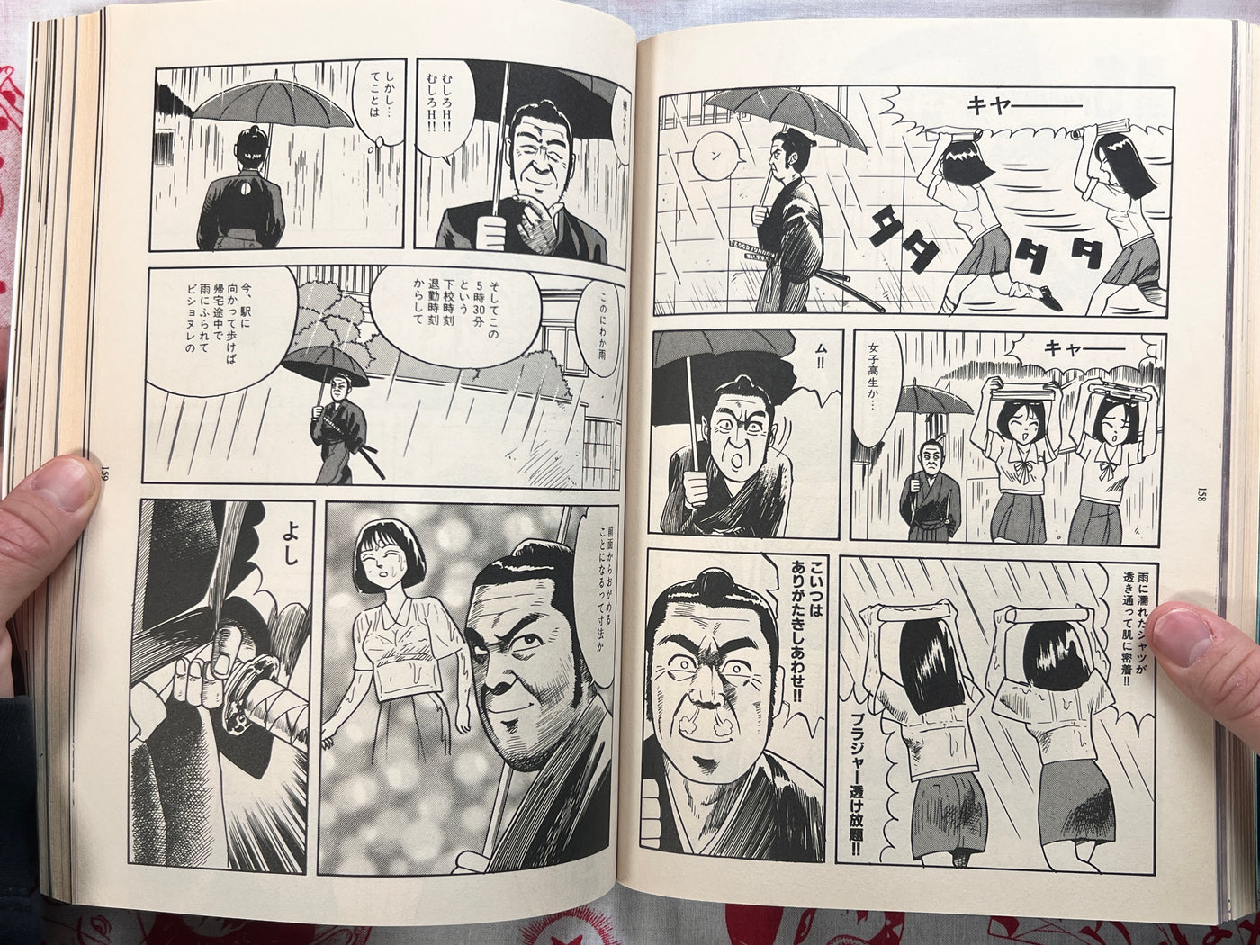 Garo Magazine Miyazawa Kenji Issue (9/1995)