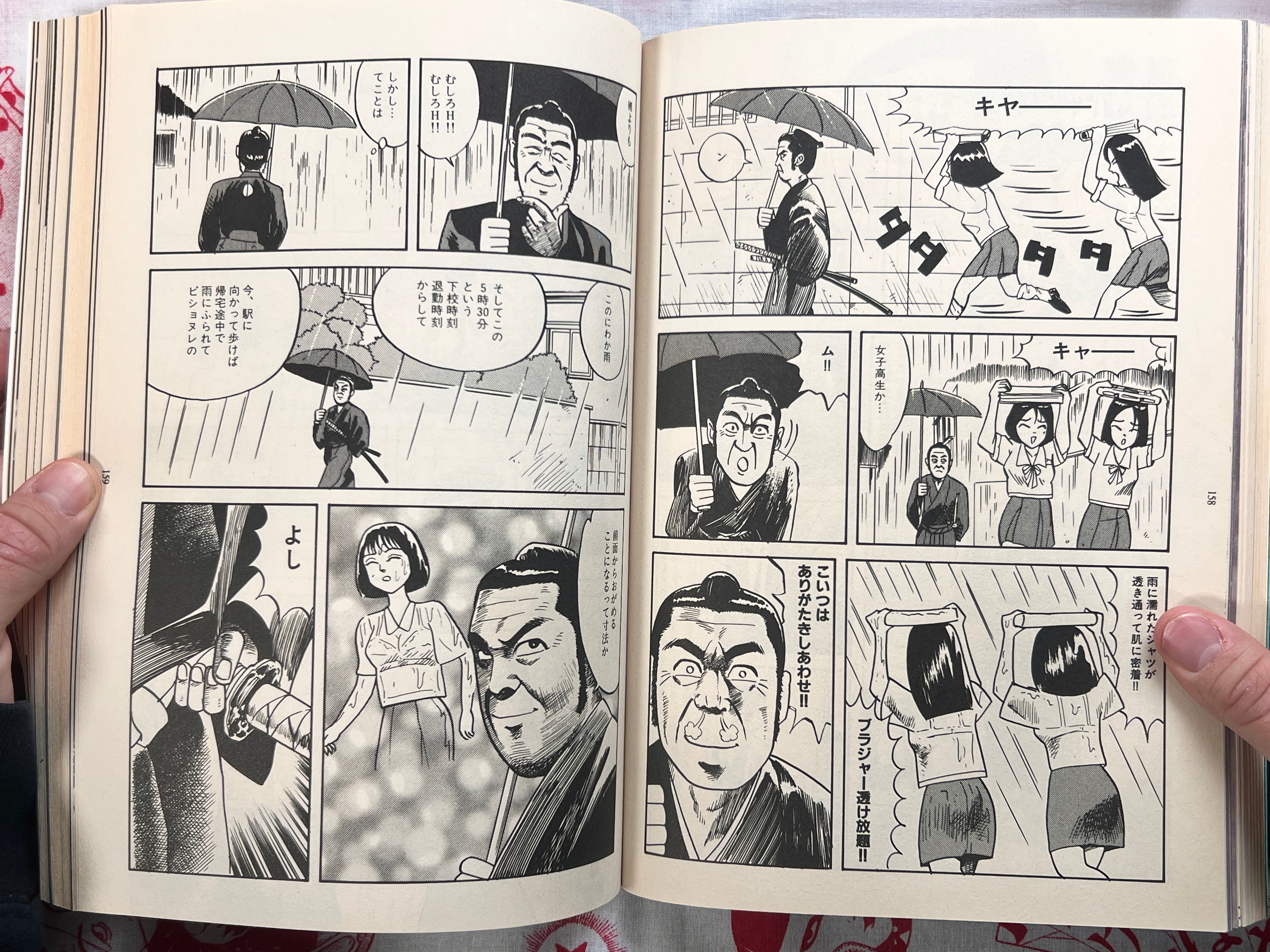 Garo Magazine Miyazawa Kenji Issue (9/1995)