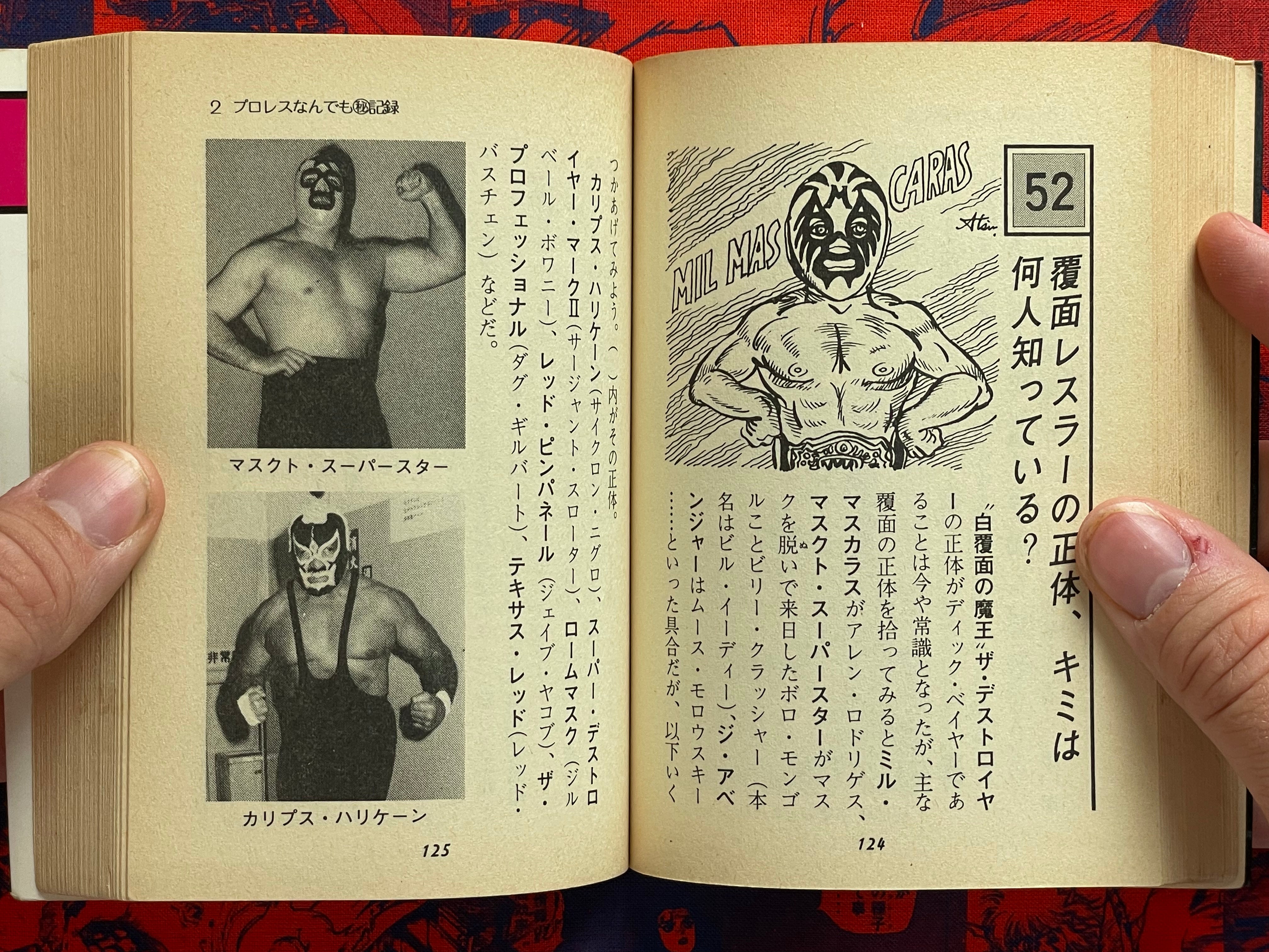 Pro Wrestling Everything Professor - bunko sized by Morioka Riu (1982)