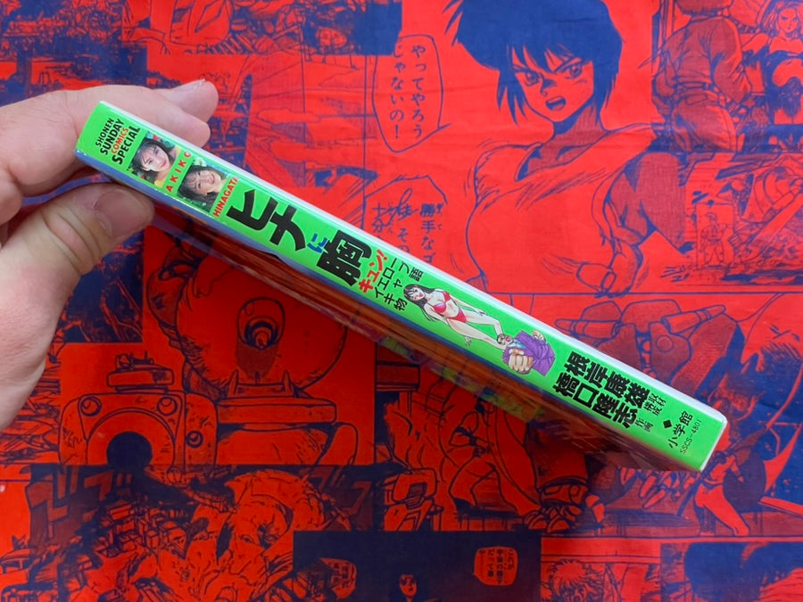 From Hina With Love - Yellow Cab Story by Hashiguchi Takashi (1996)