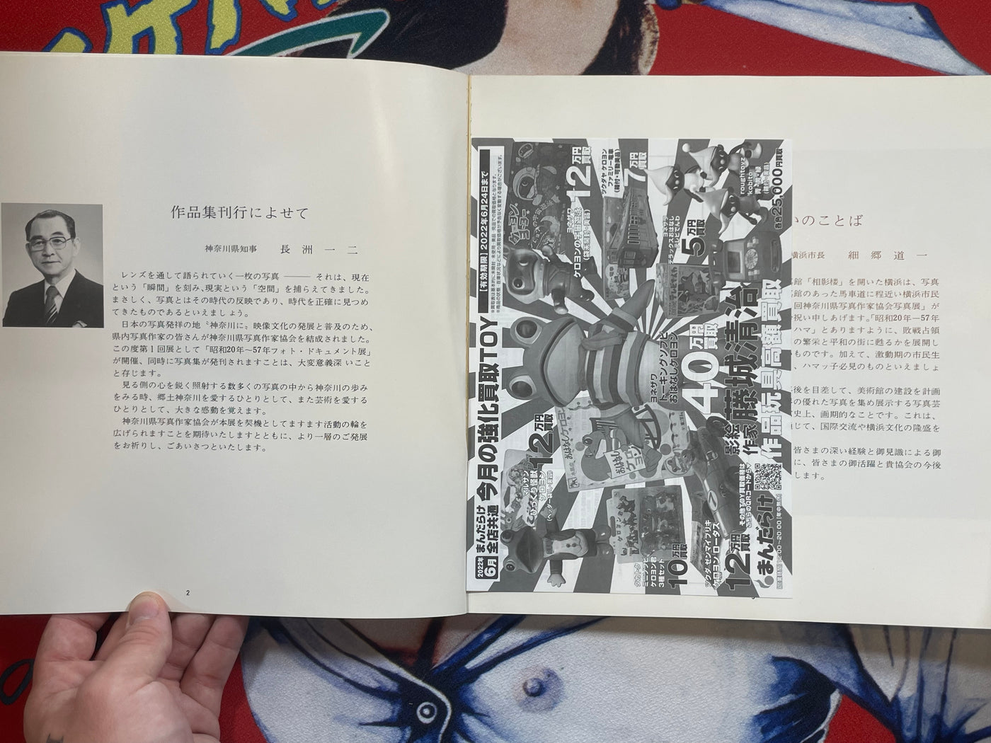 Document Yokohama 1945-1982 (1983)