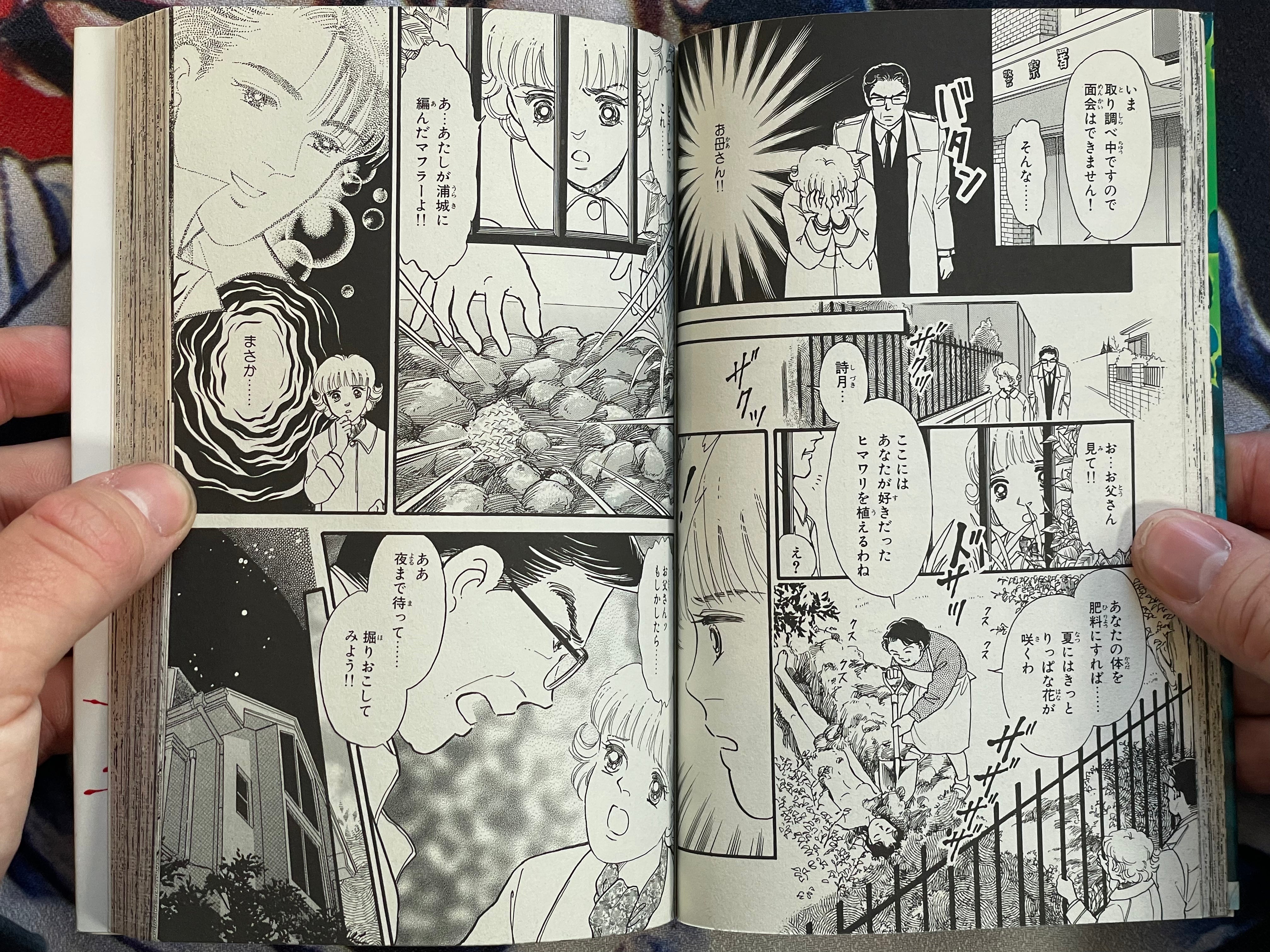 Mad House by Yoshimi Seki (1995)