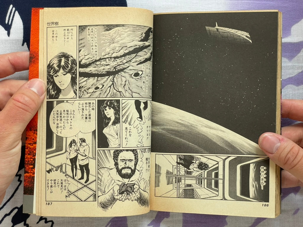 An After Image by Yukinobu Hoshino (1982)