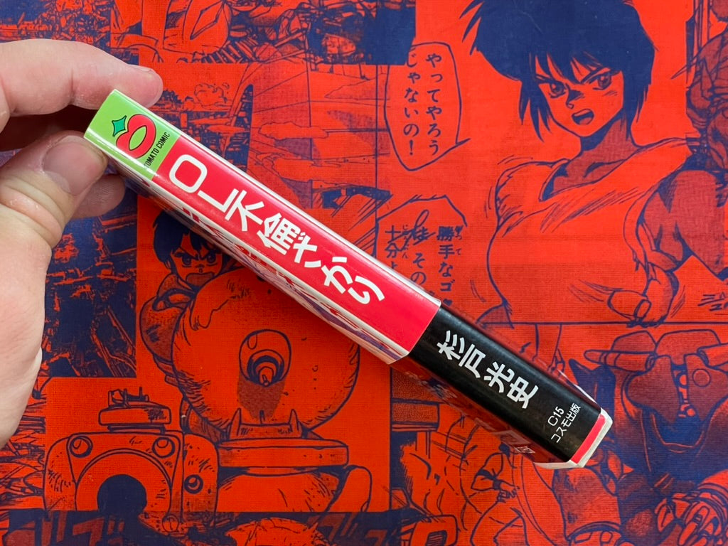 OL Adultery Hunting by Koji Sugito - bunko size (1990)