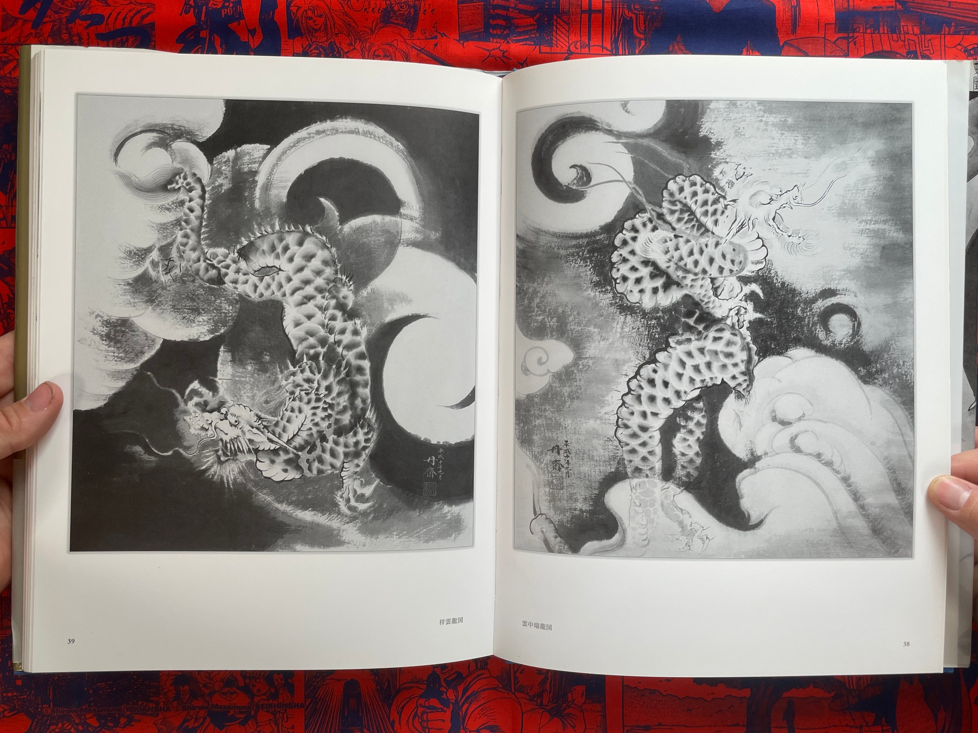 Tansai: Art of 100 Dragons - hardcover by Terano Tansai (2011)