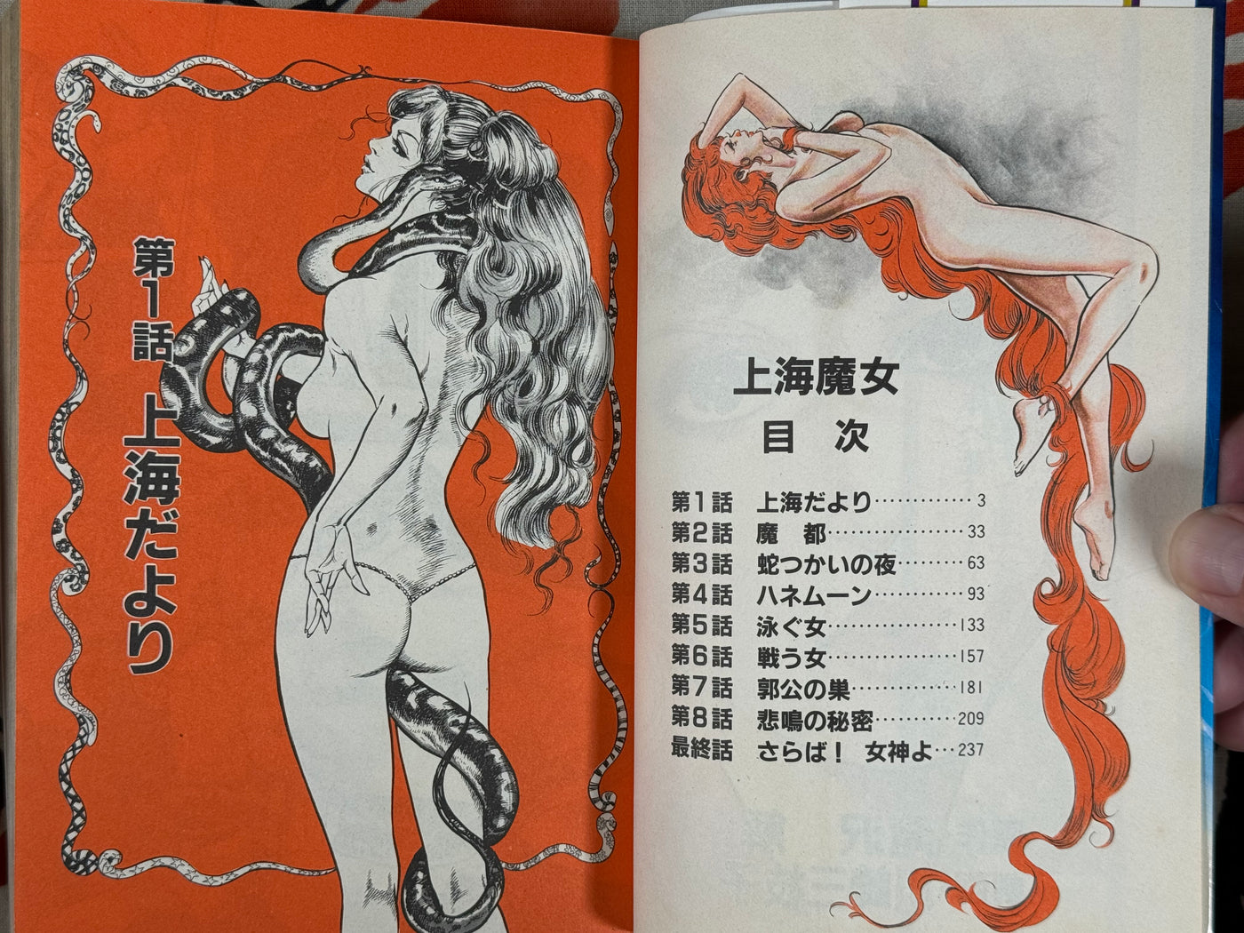 Shanghai Witch (1980) by Mieko Kawasaki