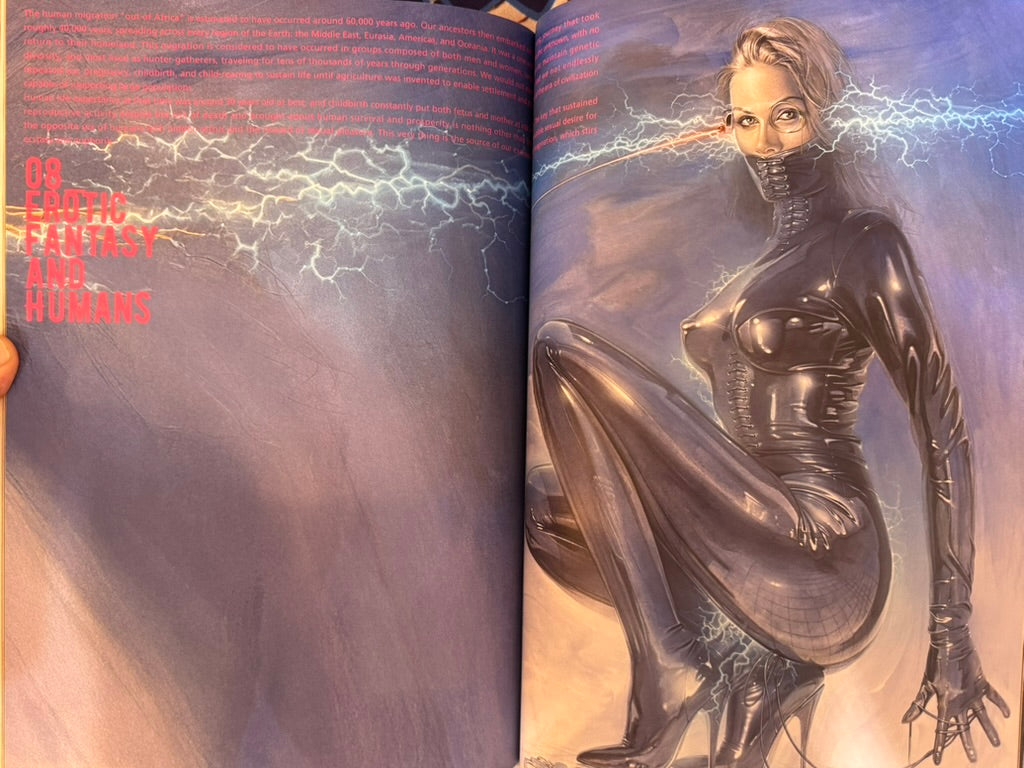 Sorayama: The Gynoids Sublime