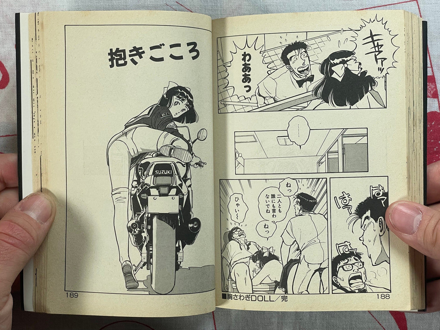 Heart Pounding Lesson - bunko size by Sakabe Noriko (1994)
