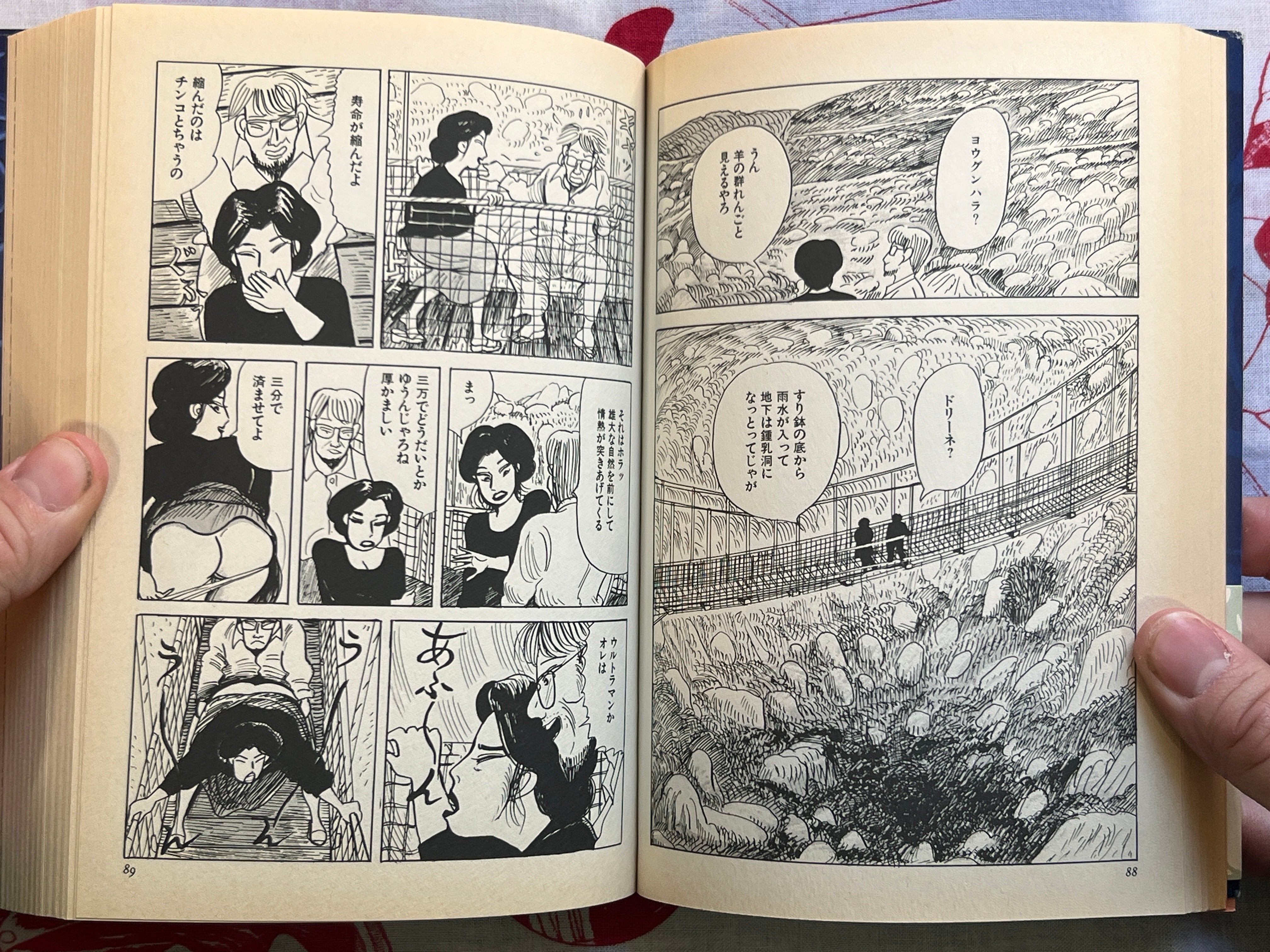 SIGNED Gokudomon 1-2 Set by Jun Hatanaka (2005)