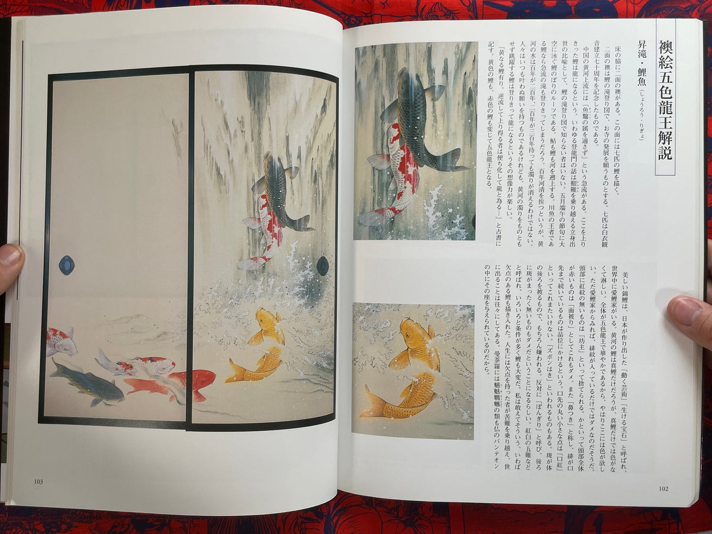 The World of Dragon Art by Emoto Shogaku (2008)